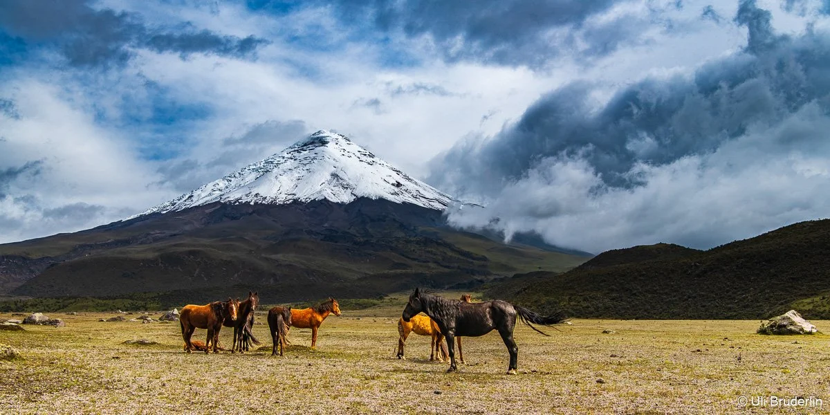 Ecuador