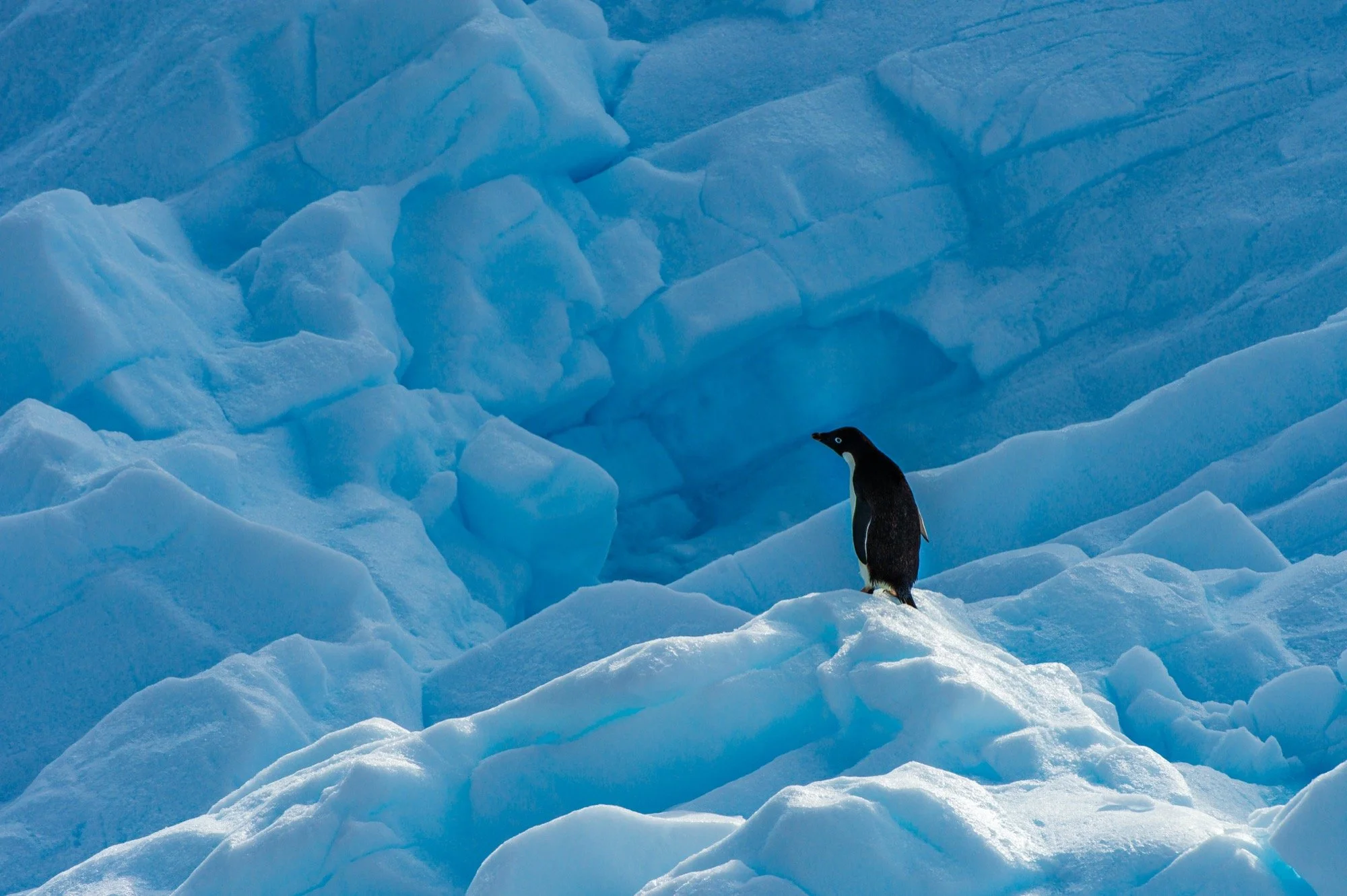 20130126_D4_6712-Verbessert-SR copy.jpg