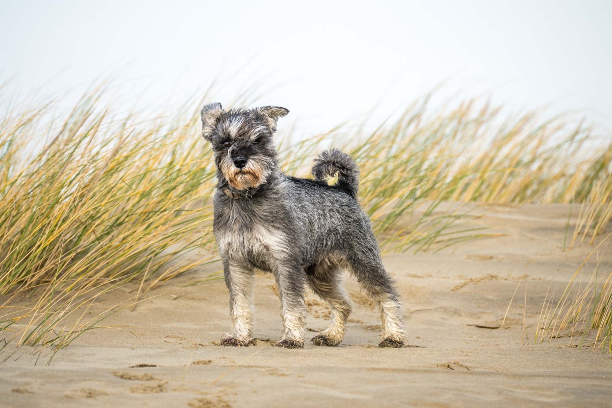 2_20260221_Z8A_9562 copy.jpg