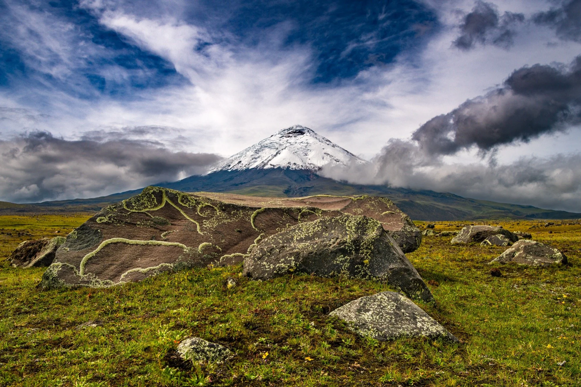 20190305_D850_7339 copy.jpg