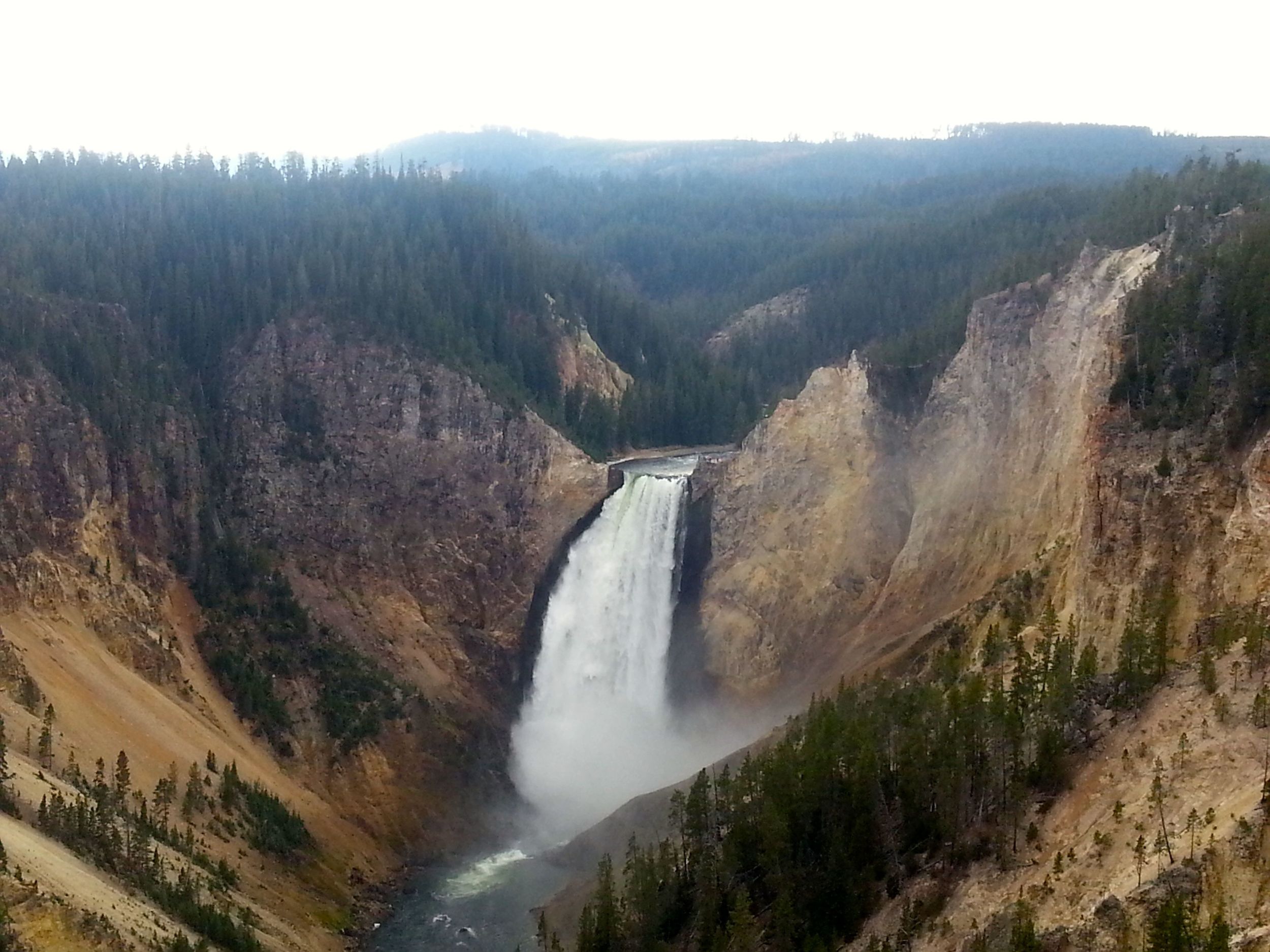 Grand Canyon of Yellowstone