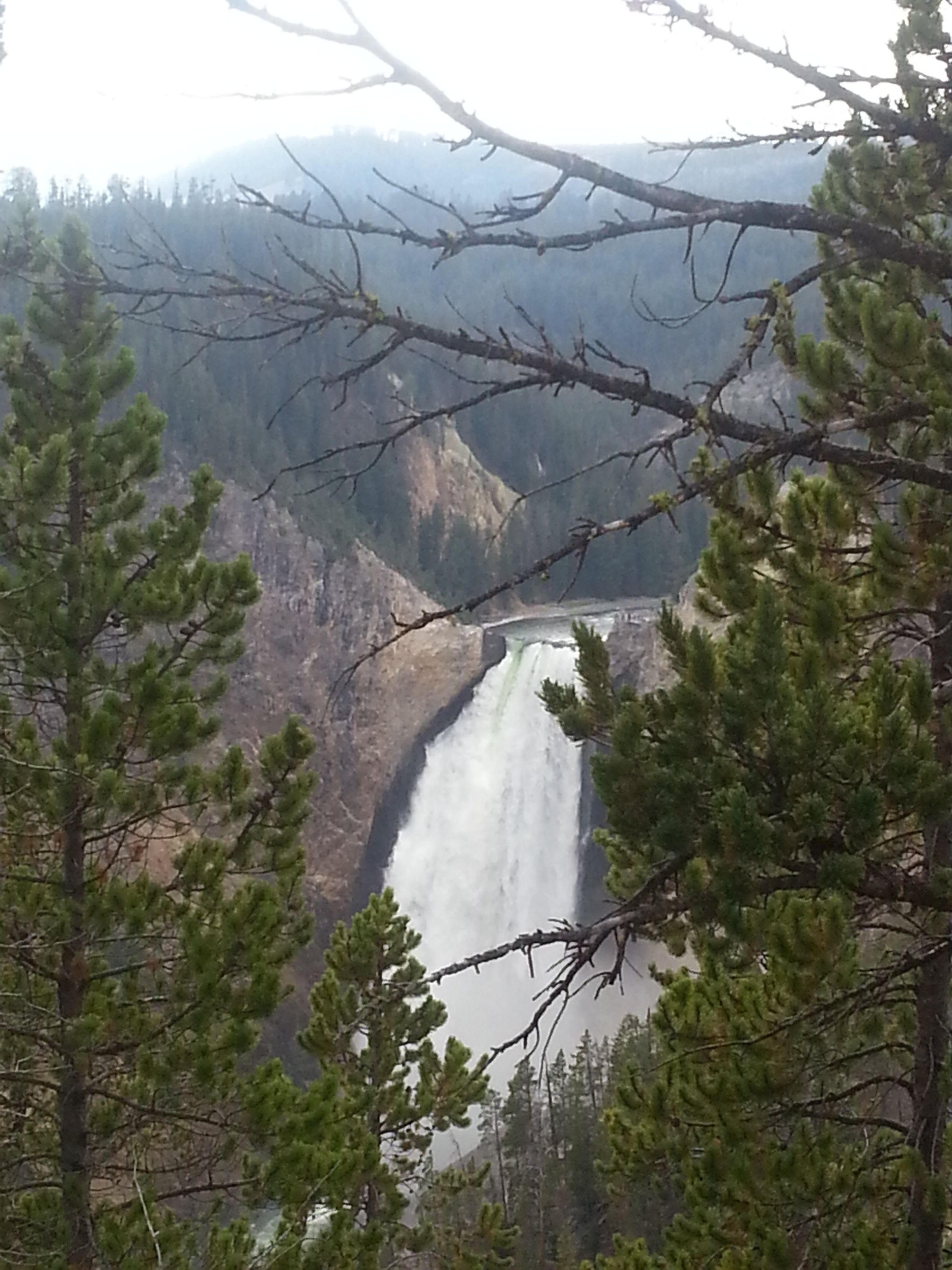 Grand Canyon of Yellowstone