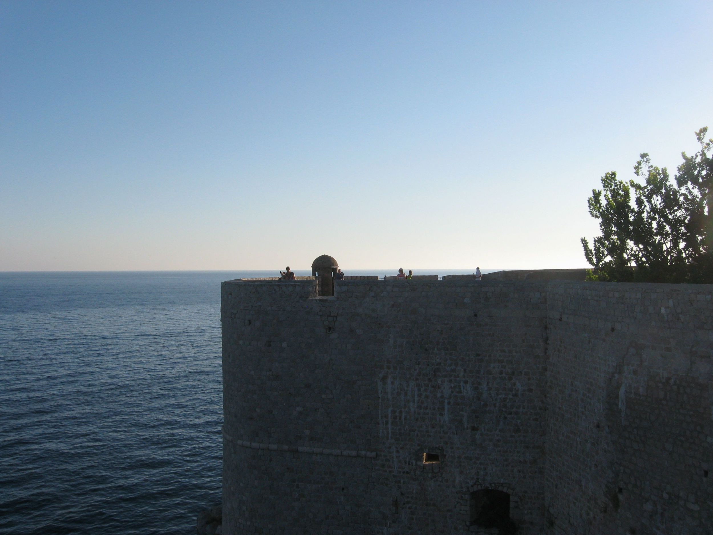 IMG_9833.jpg