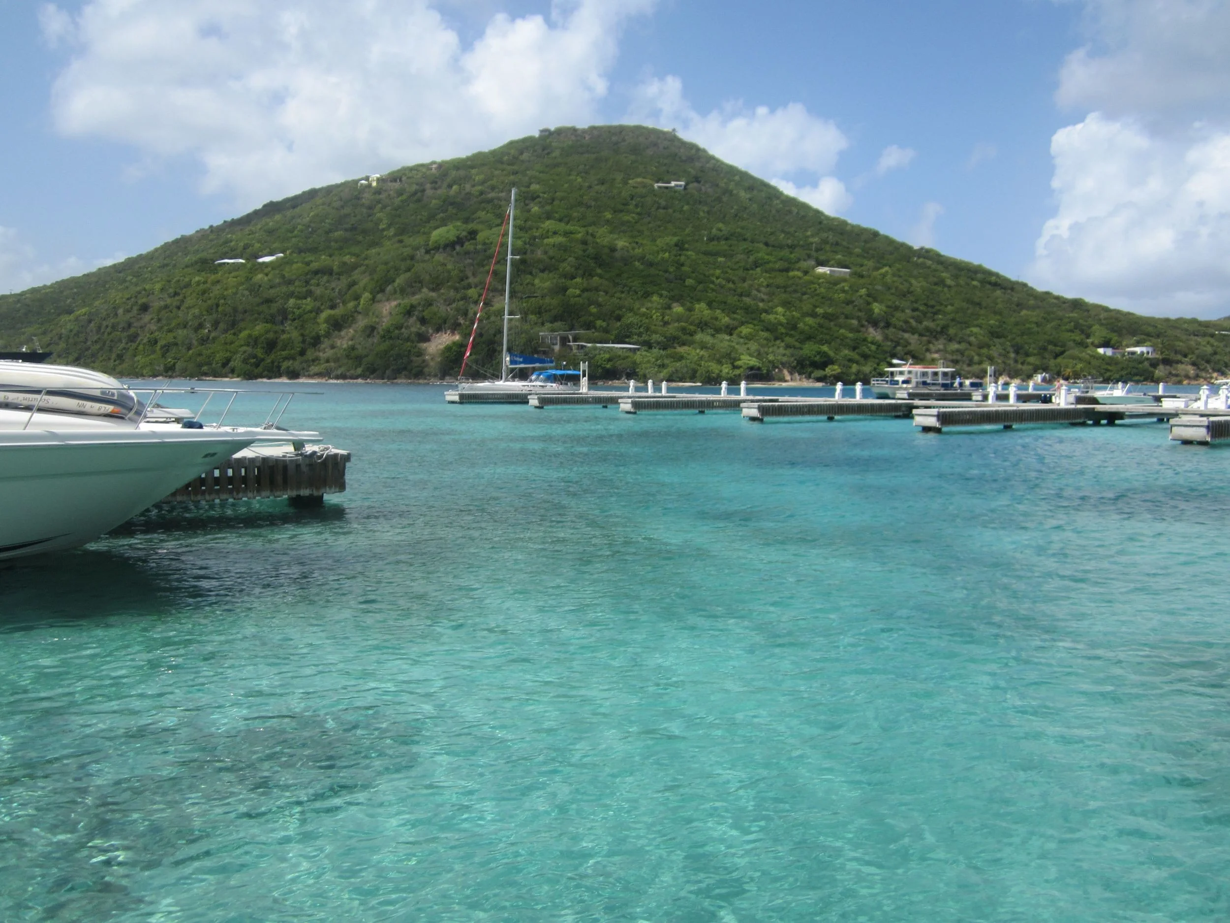 IMG_1237.jpg