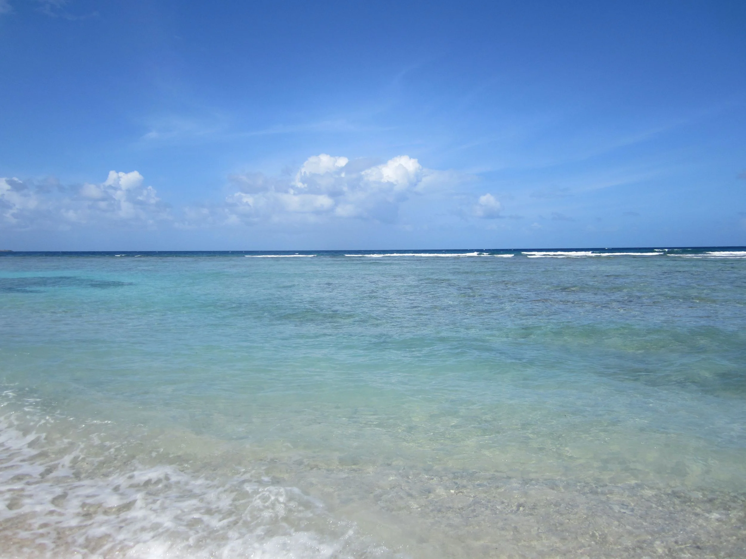 IMG_1454.jpg