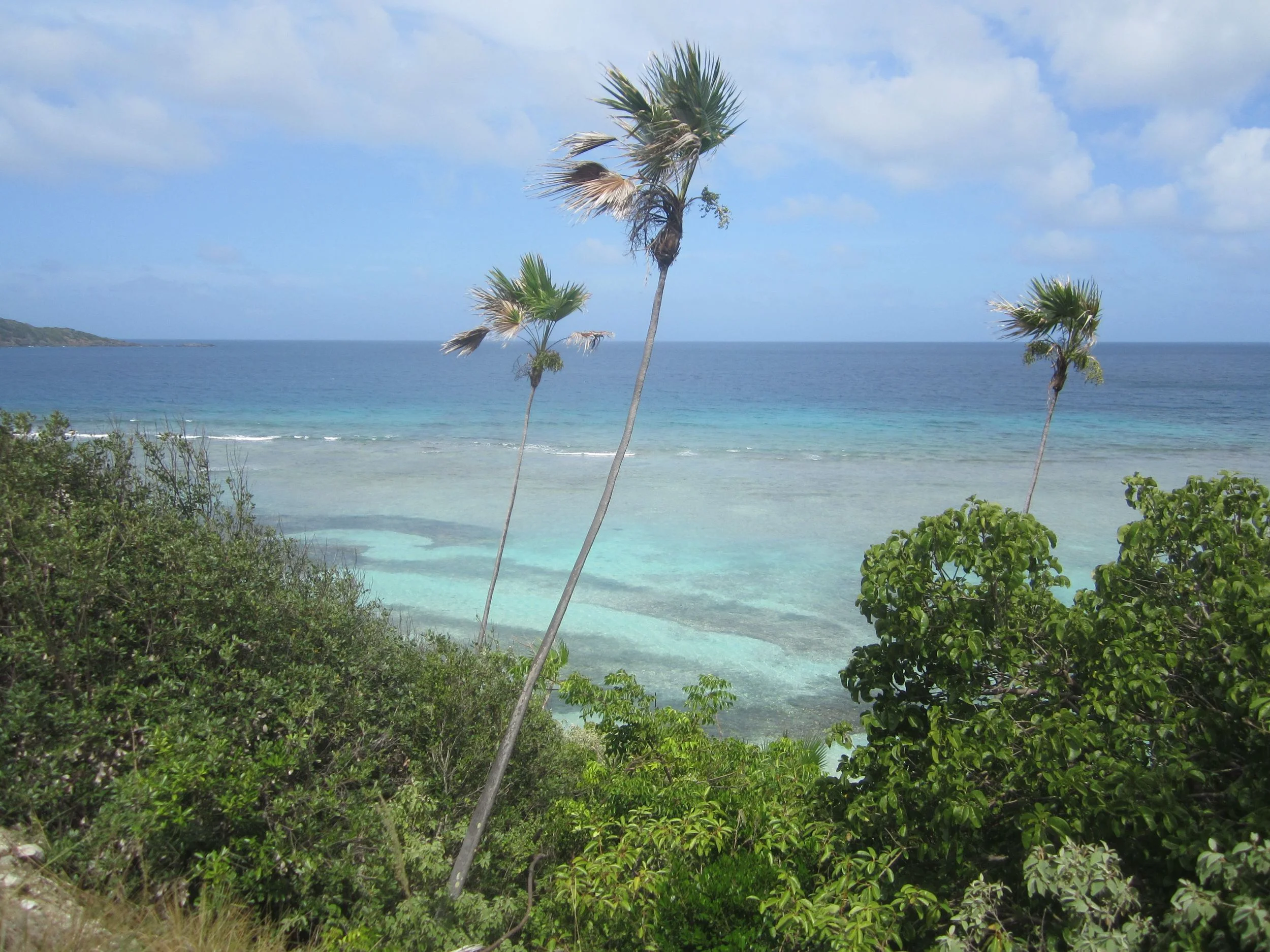 British Virgin Islands 