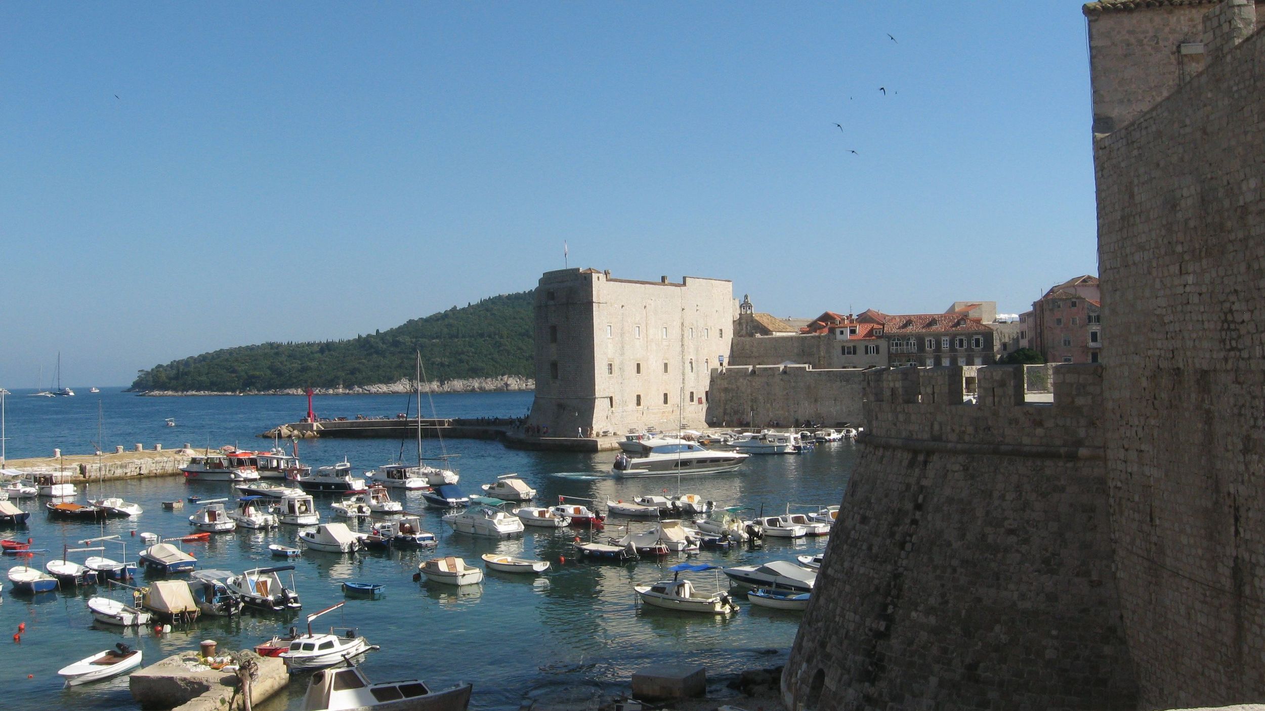 IMG_9733.jpg