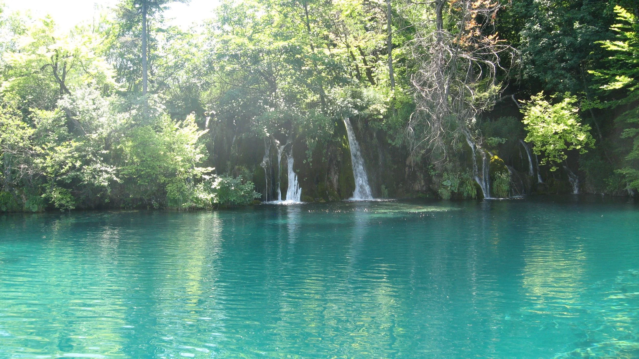 IMG_9287.jpg