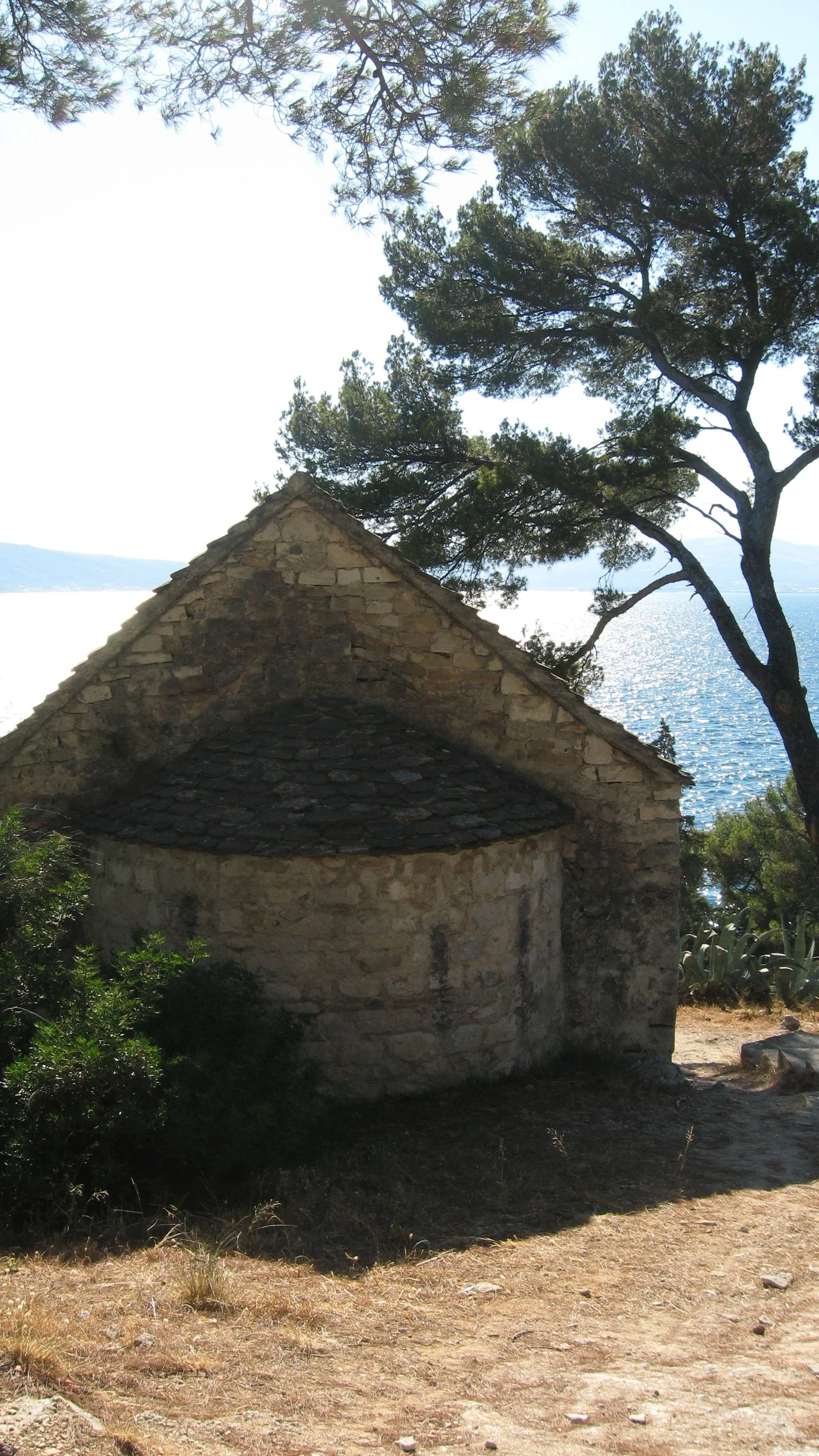 IMG_9200.jpg