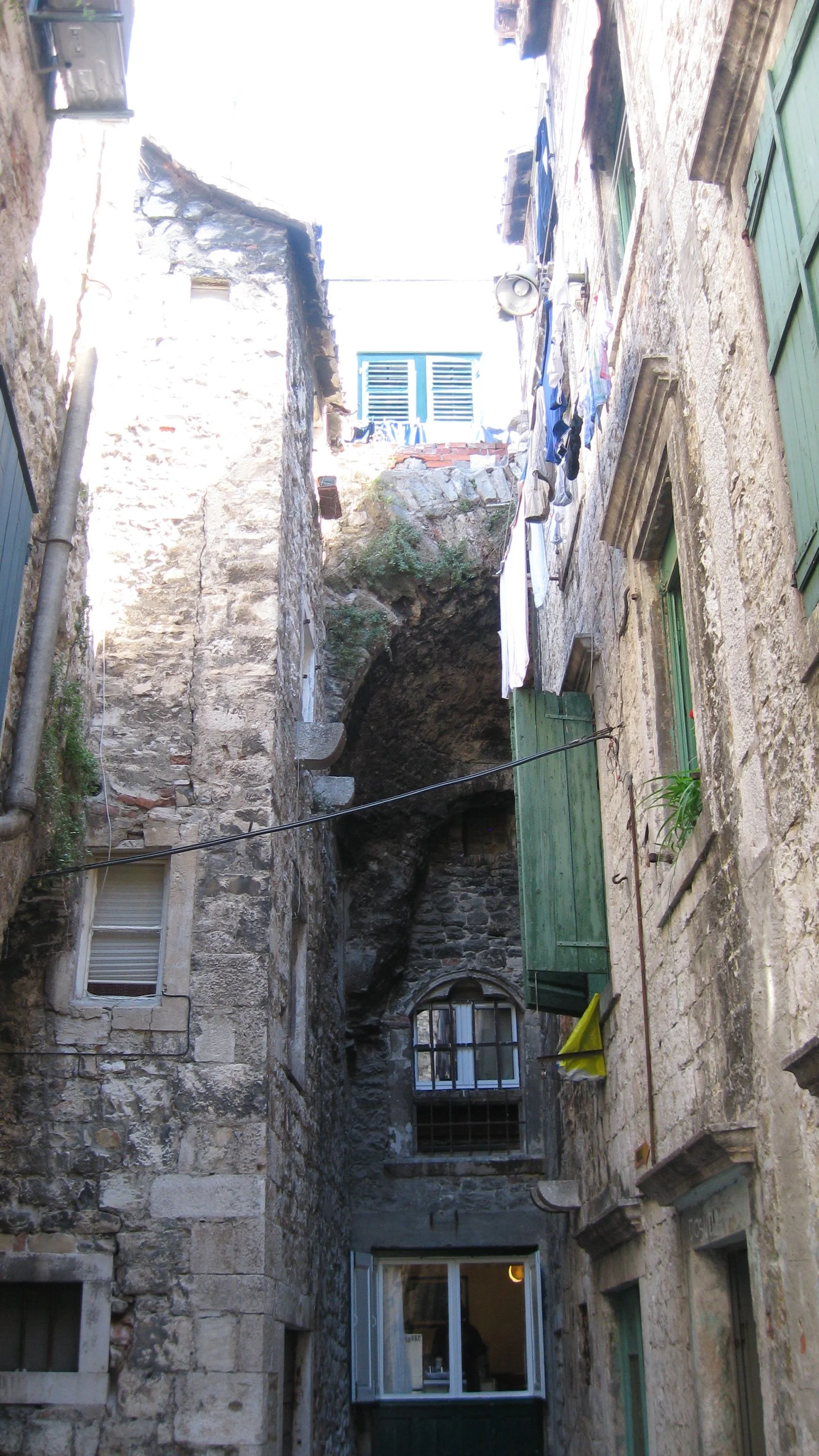 IMG_9080.jpg