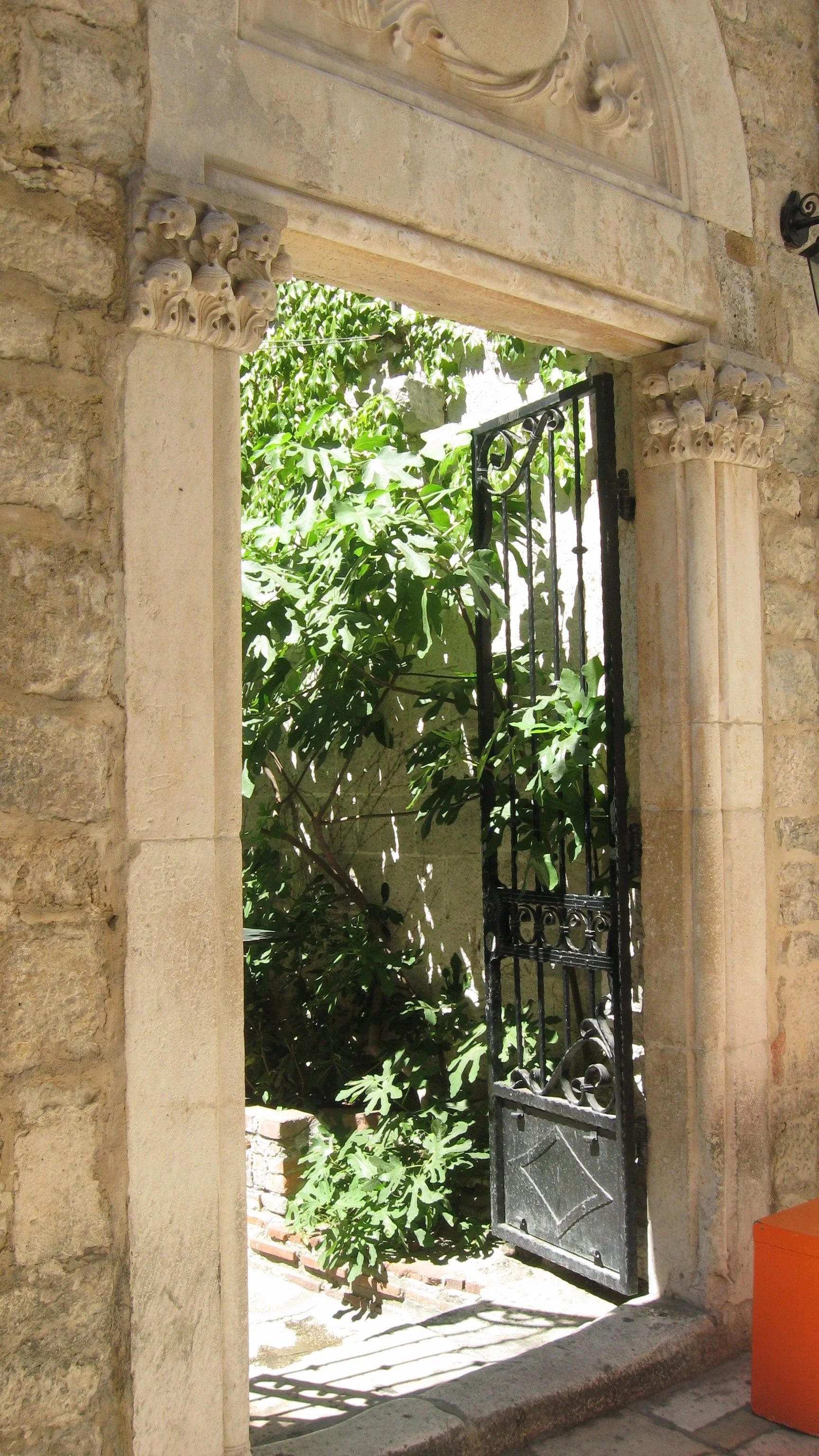 IMG_9081.jpg