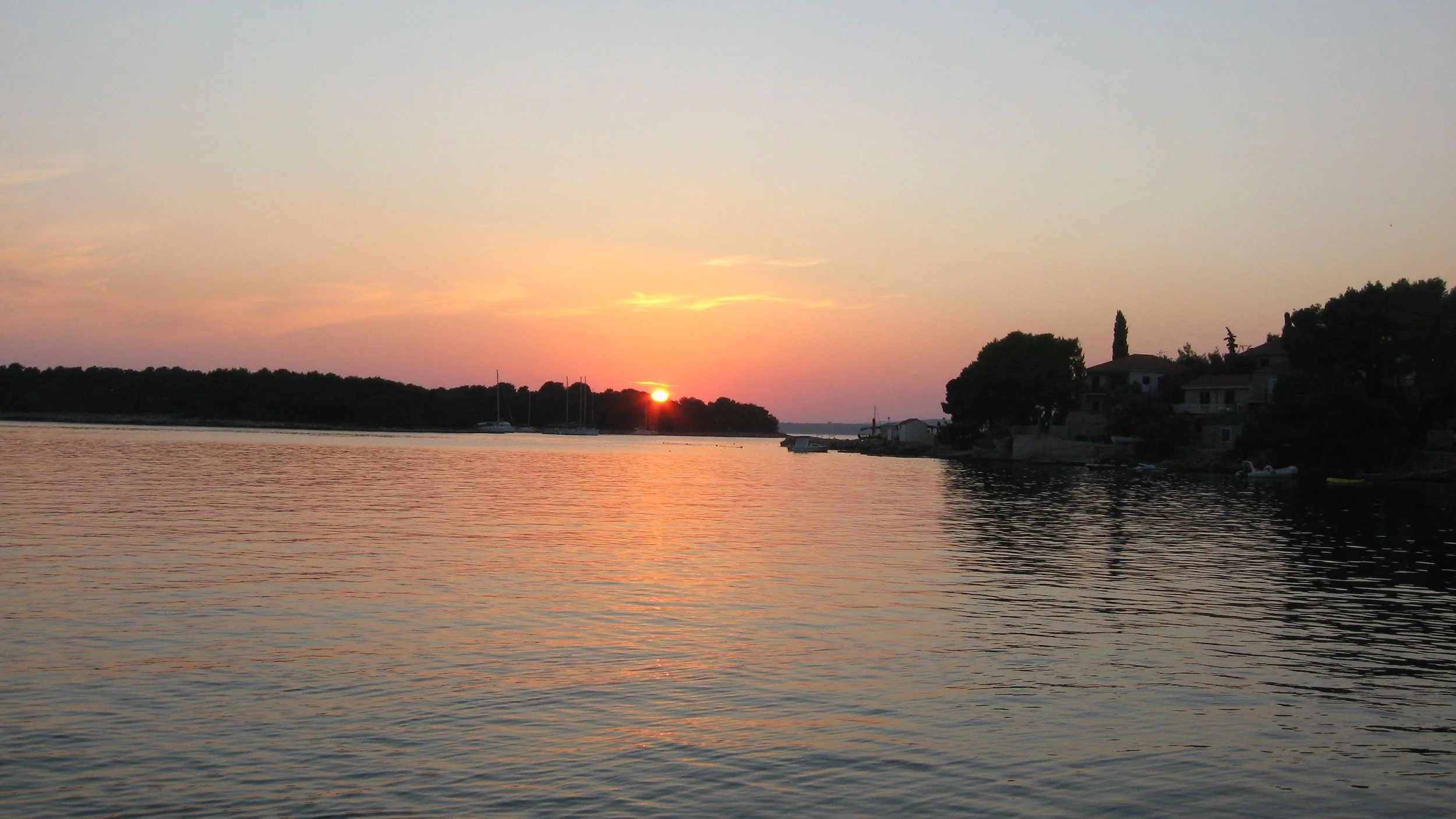 IMG_8906.jpg