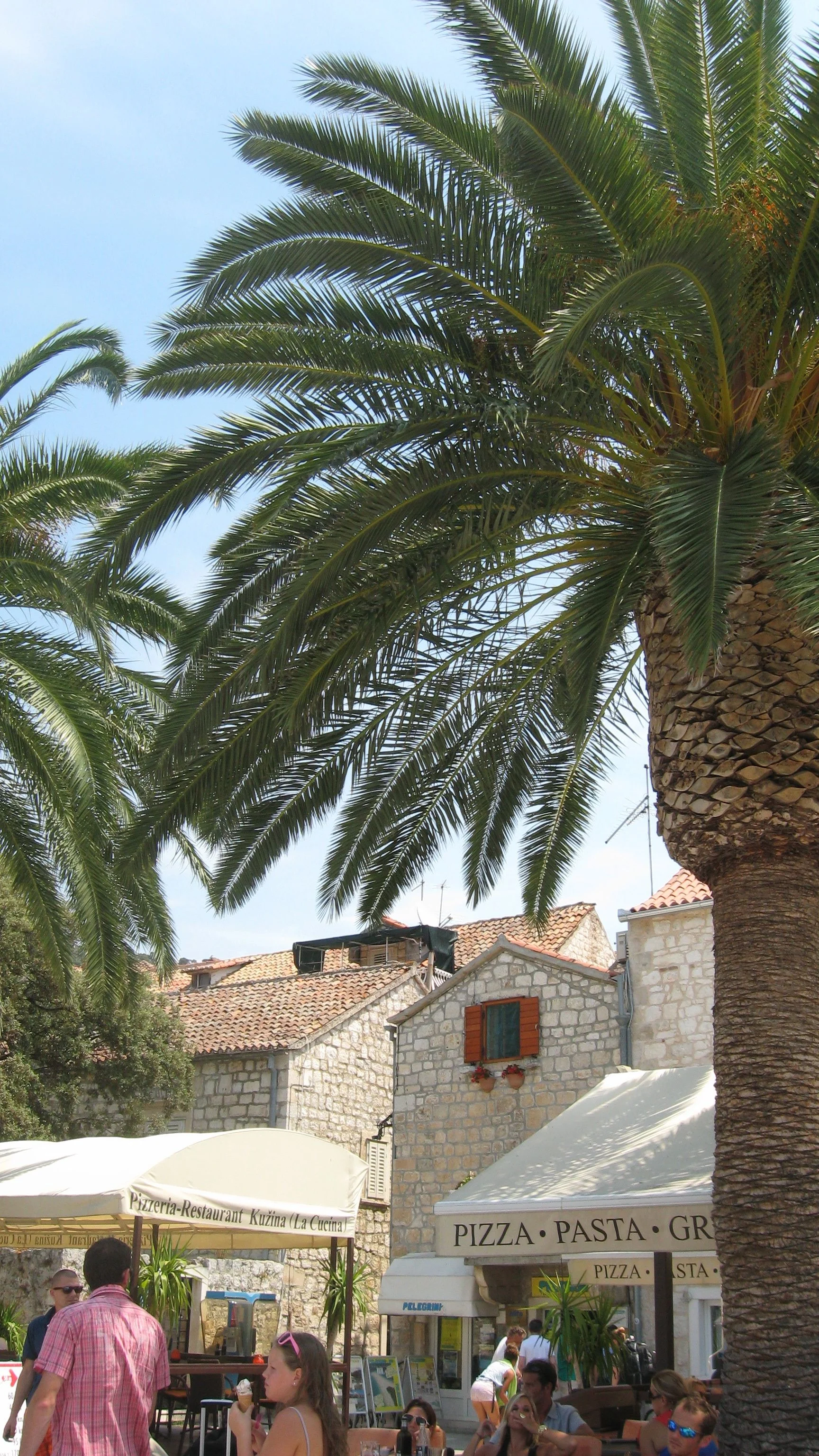 IMG_8814.jpg