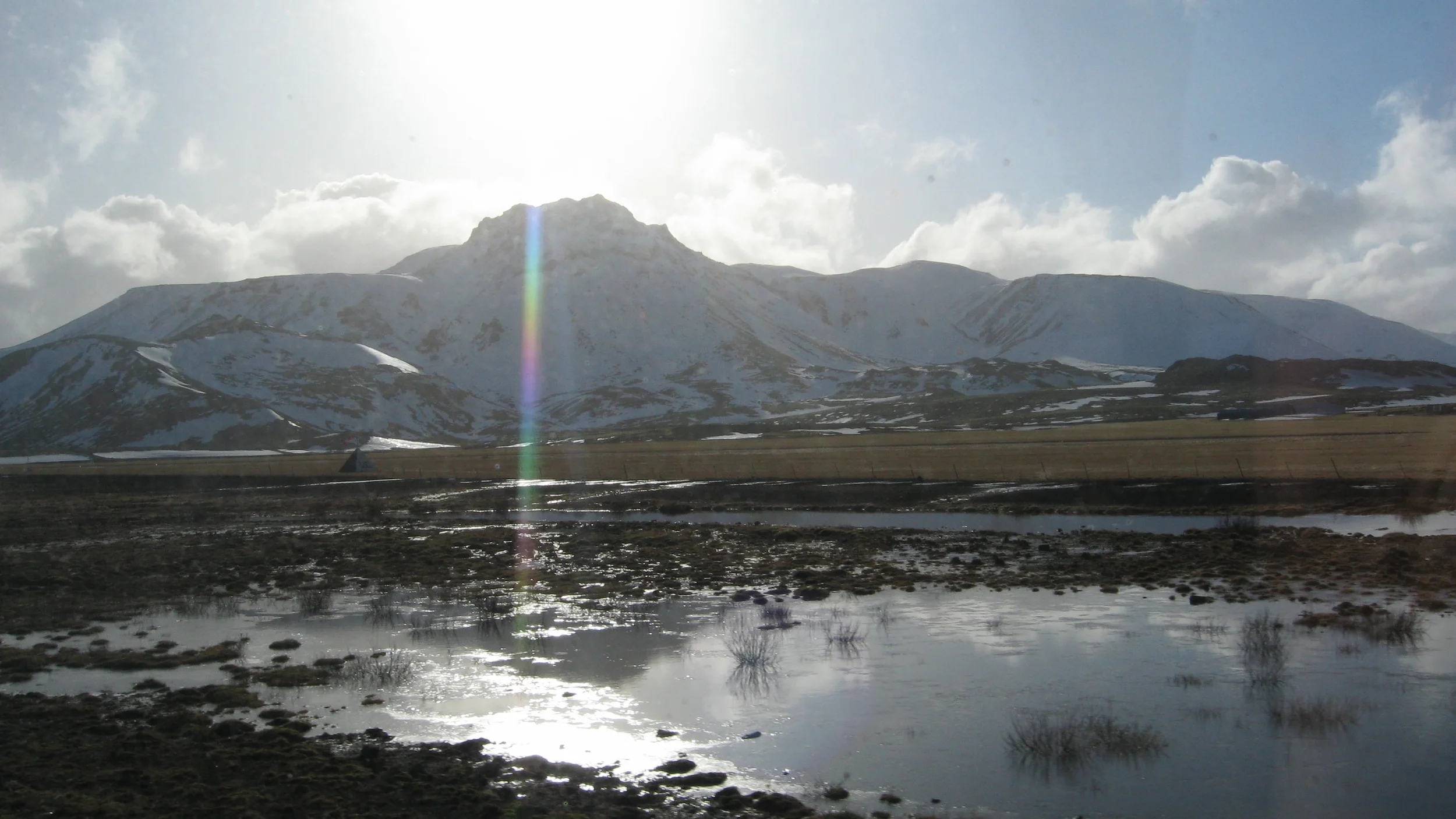 IMG_7763.jpg
