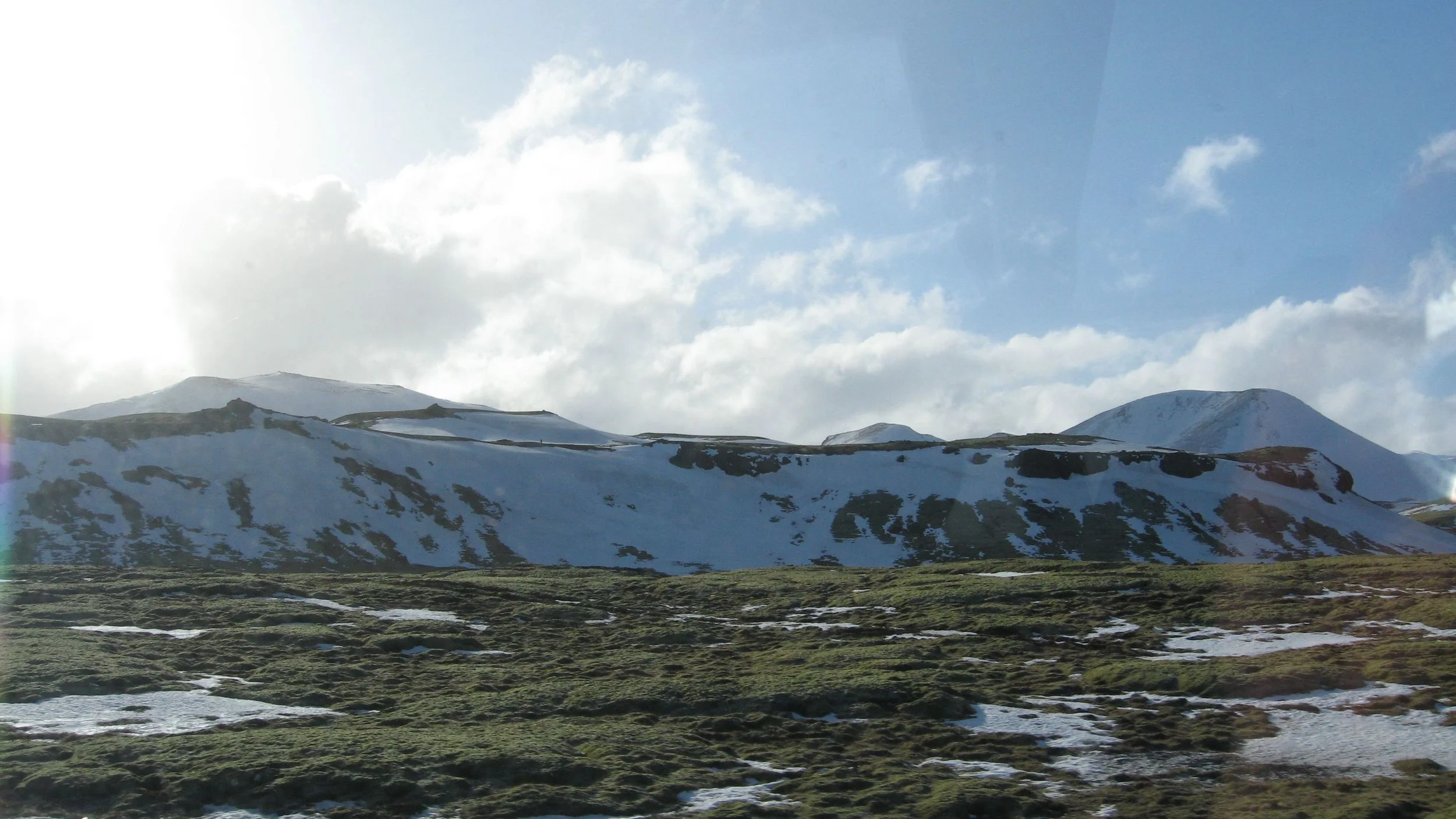 IMG_7768.jpg