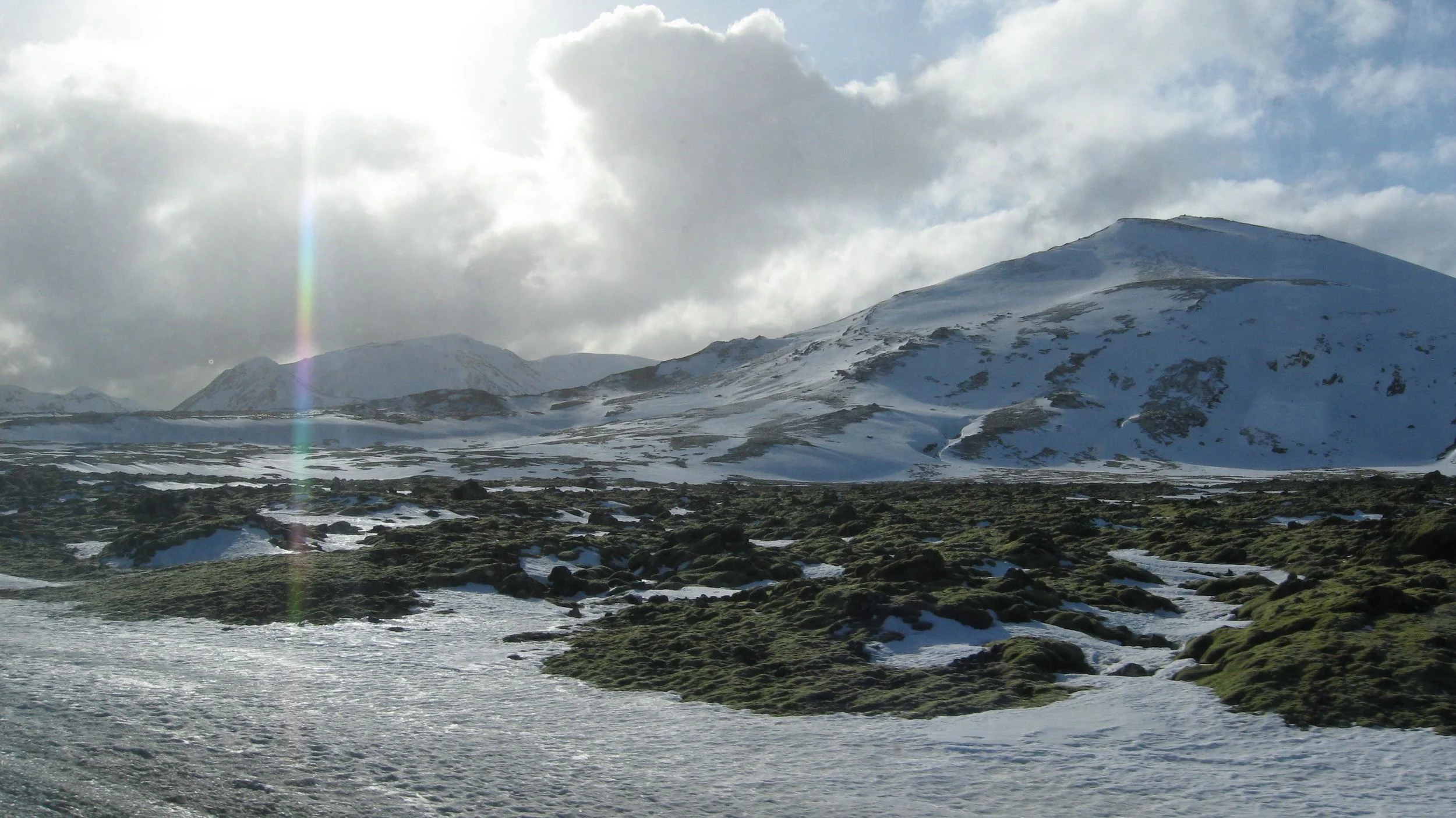 IMG_7771.jpg