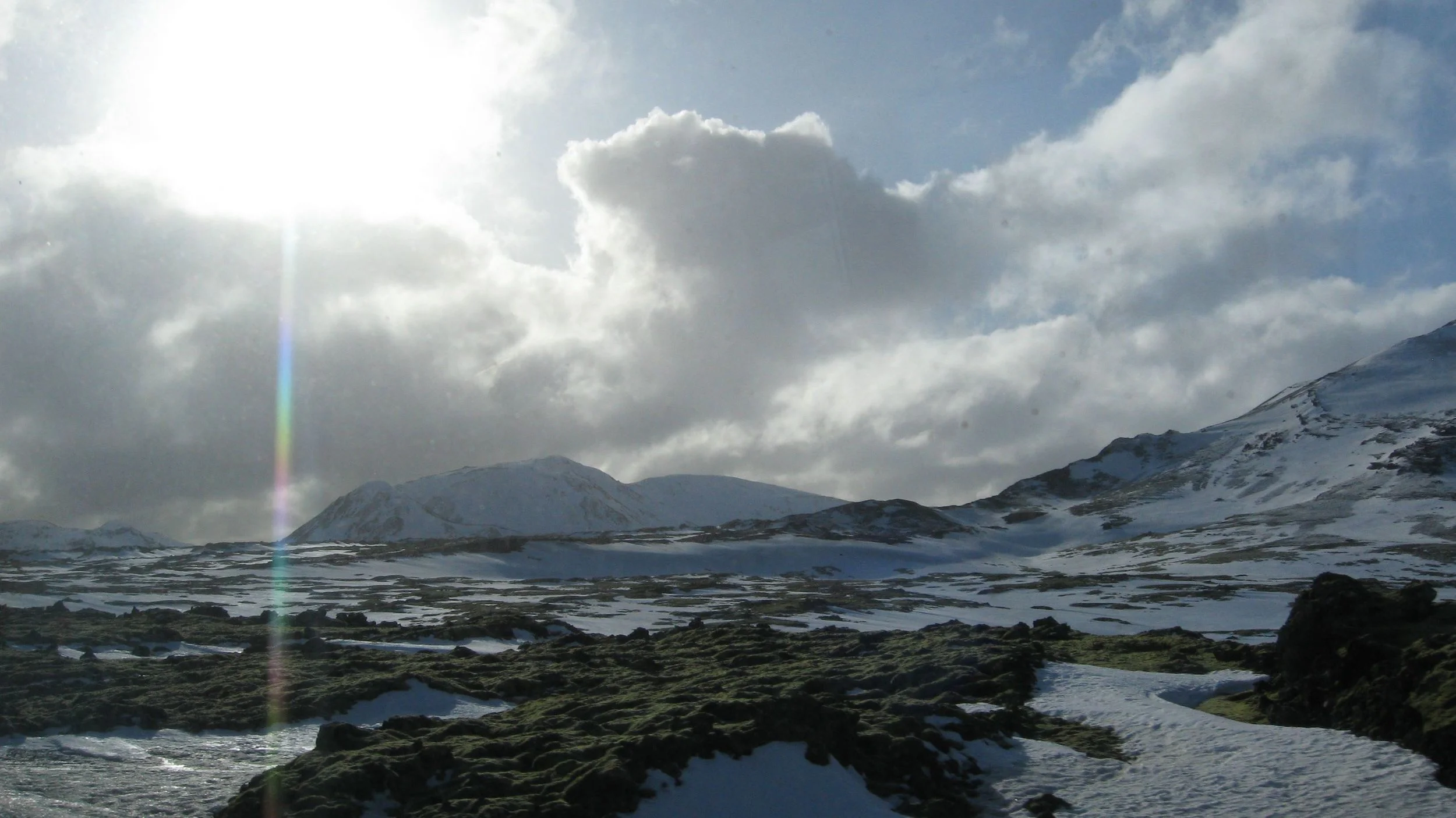 IMG_7774.jpg