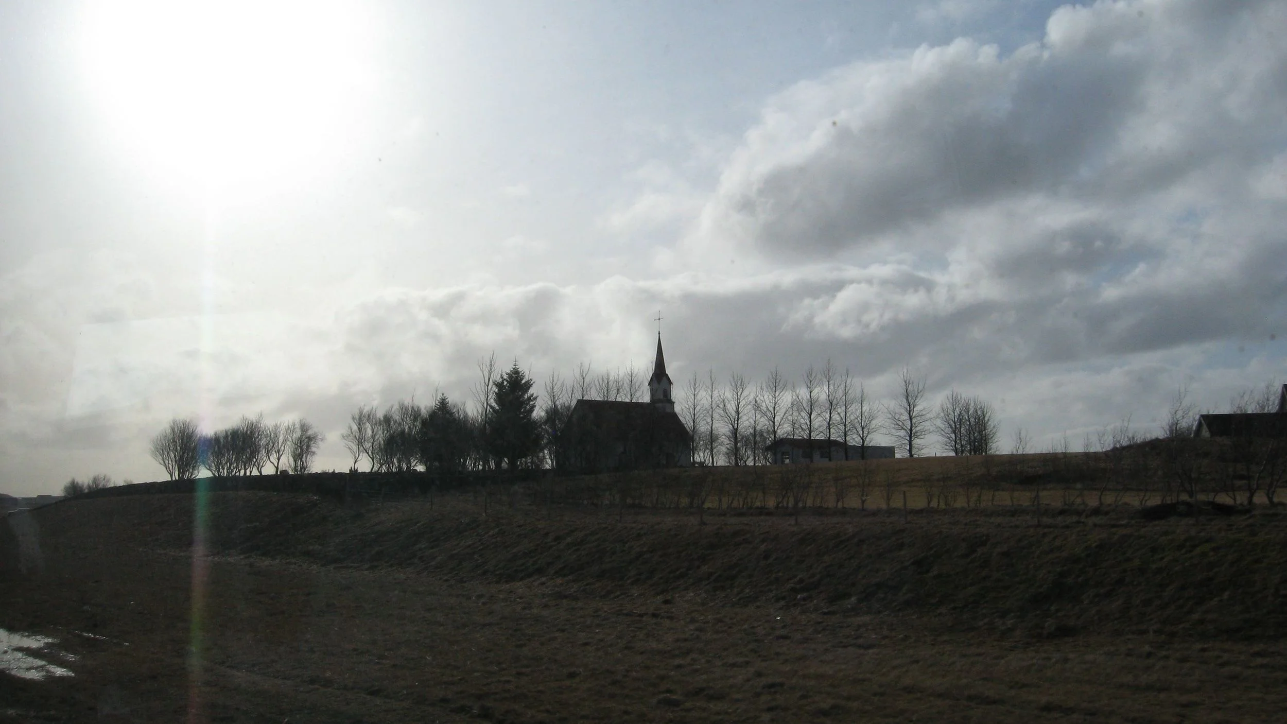 IMG_7784.jpg