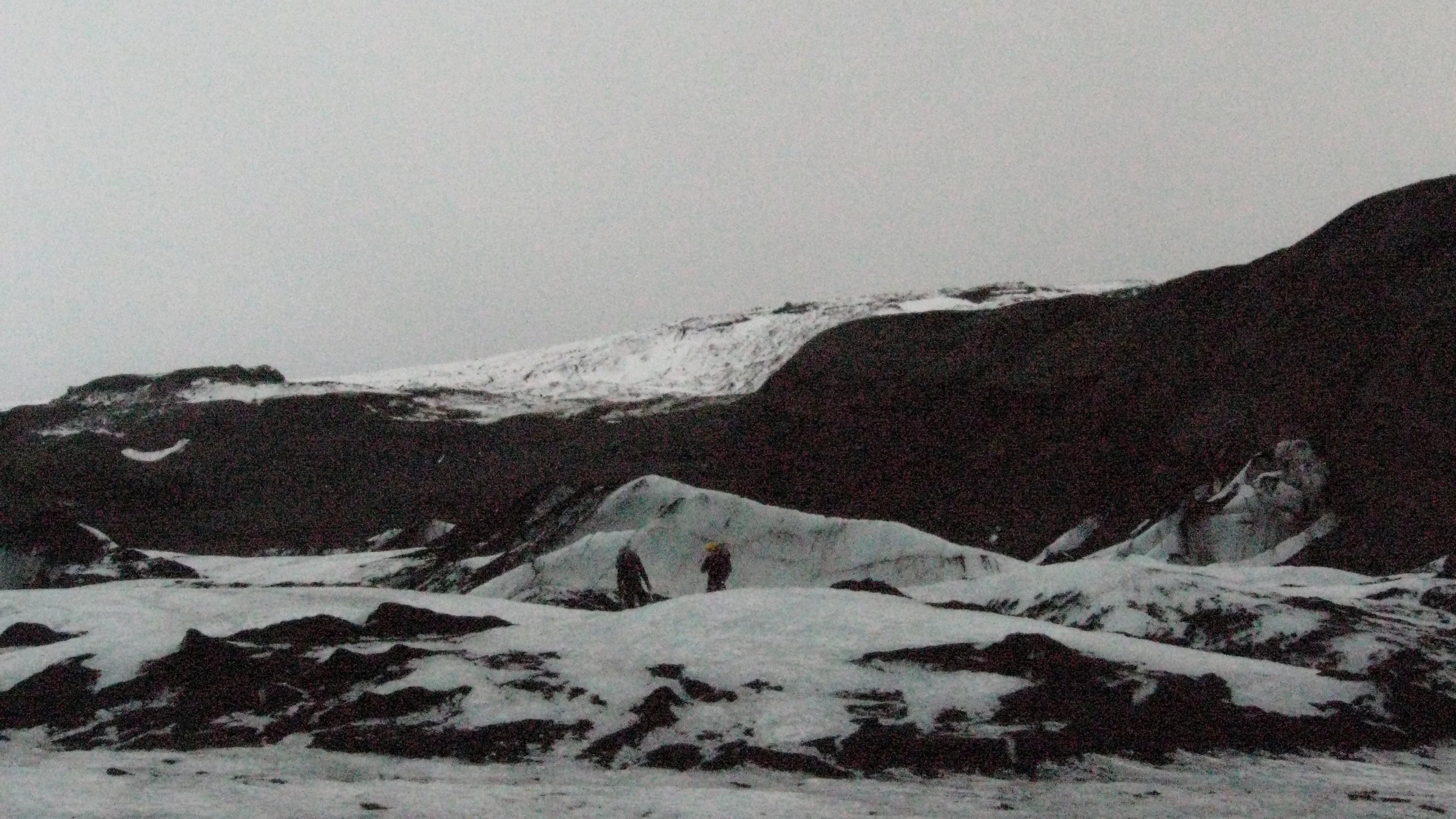 IMG_7831.jpg