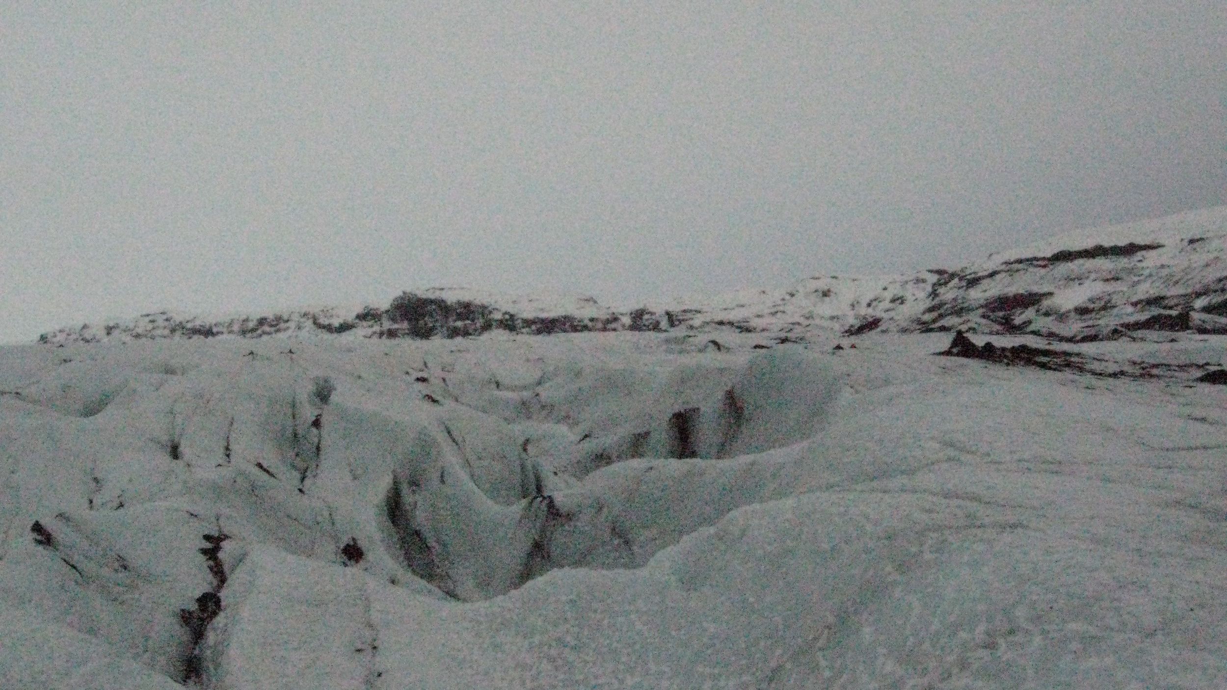 IMG_7843.jpg