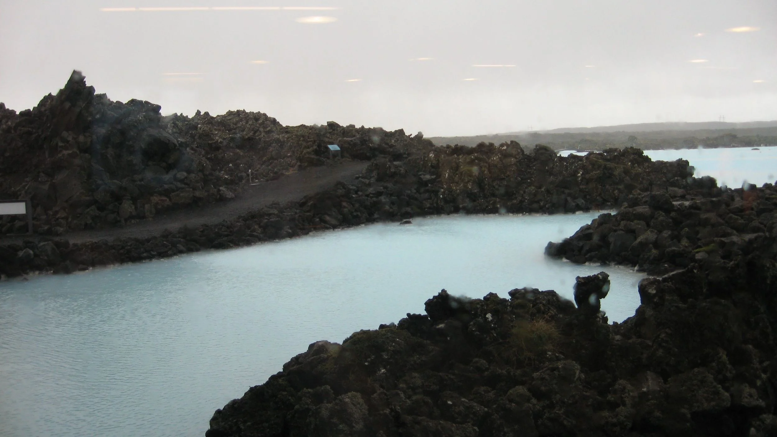IMG_7982.jpg