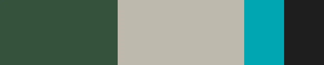 Brand Colors