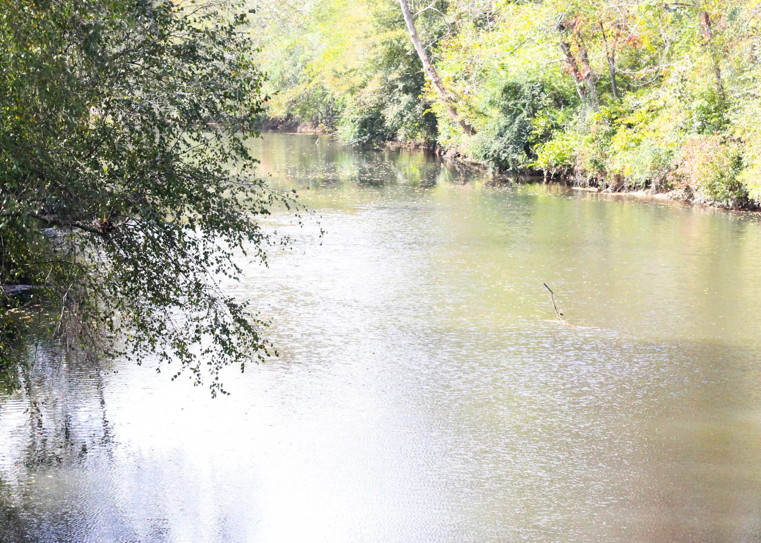 The Cartecay River