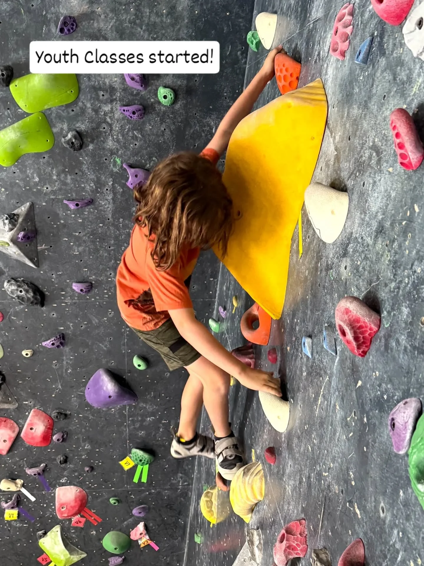 Our youth classes have started! Have your kids try something unique and watch them excel through the challenges we throw at them! We still have openings in our classes, check the link in bio to sign up :)

#youthclasses #fallclasses #rockclimbing #ro