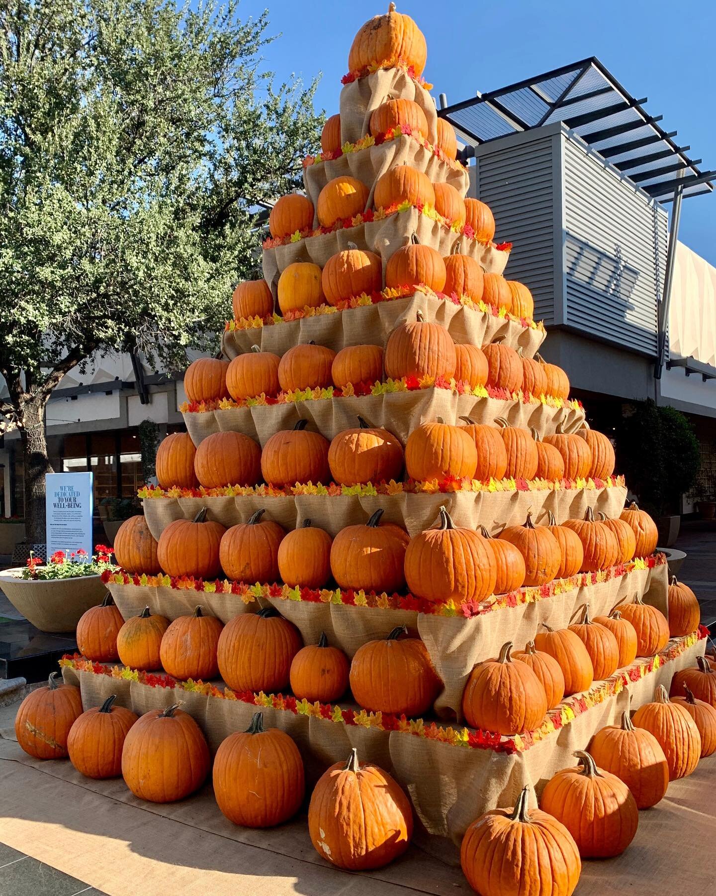 Pumpkin Pyramid!