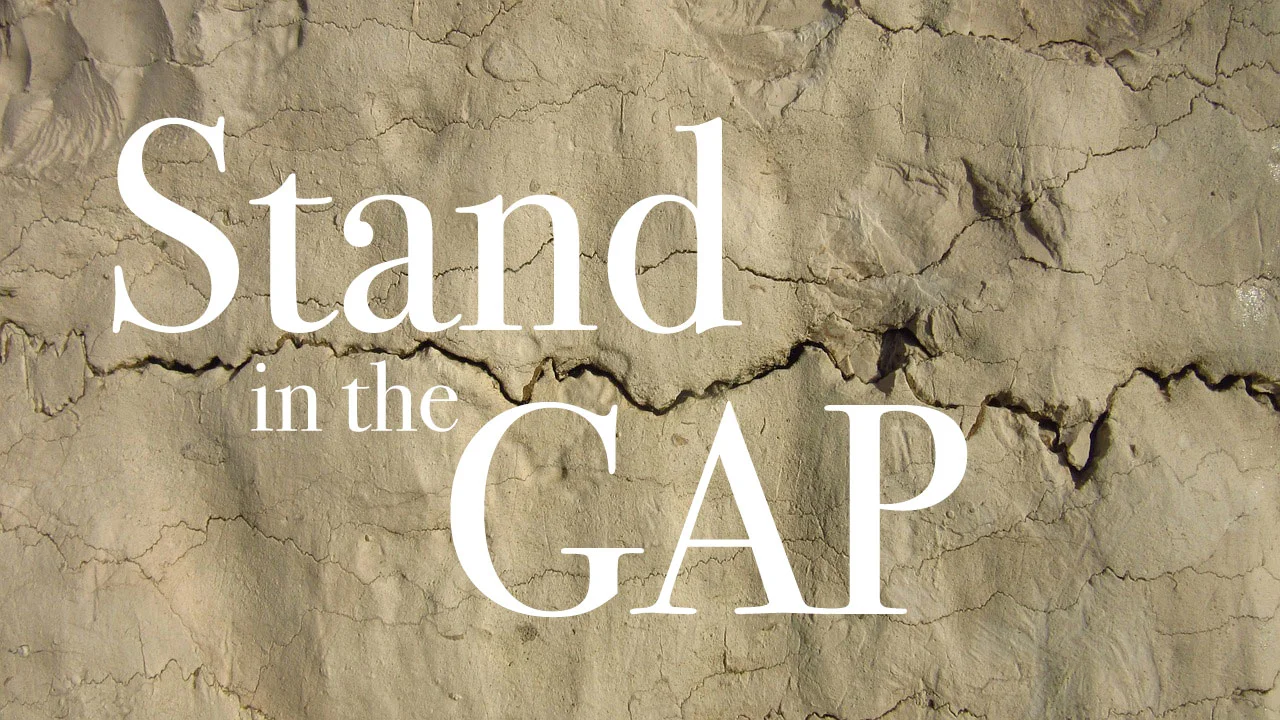 Stand in the Gap