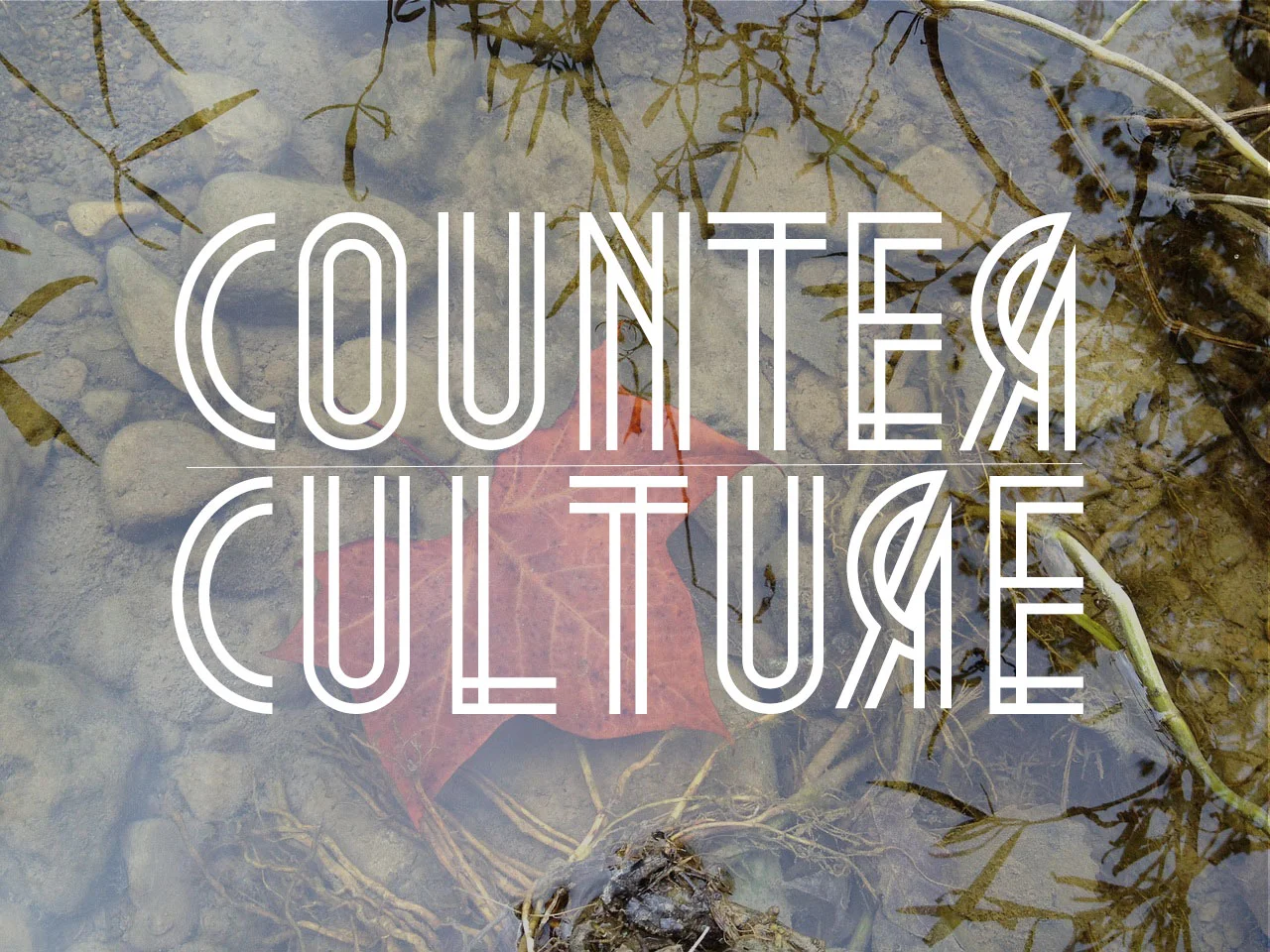 Counter Culture