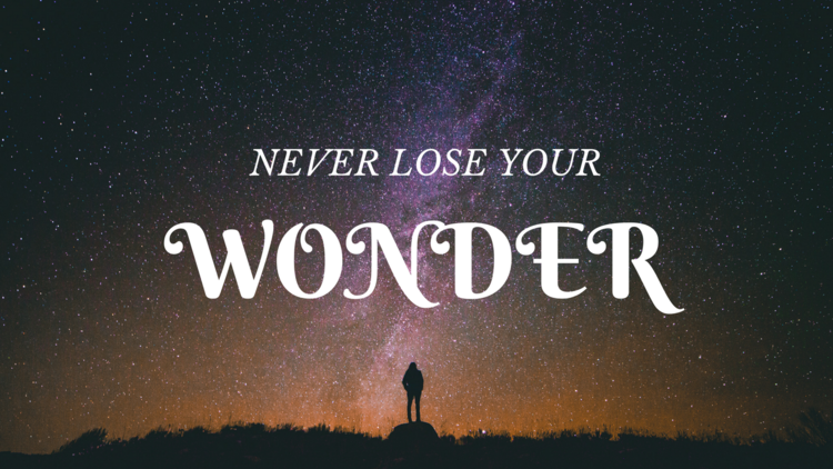Never Lose Your Wonder