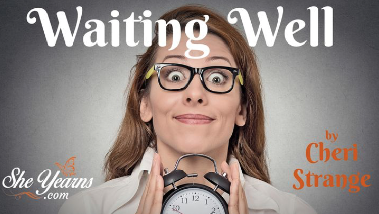 We don’t like to wait. From standing in line at the grocery store to anticipating God to move in our situation, each of us is familiar with the dreaded experience. The question then is not, “Are we going to wait,” but rather, “HOW are we going to wait?” Discover today how to avoid emotional fits of impatience and doubt, and develop a biblical strategy for waiting well.
