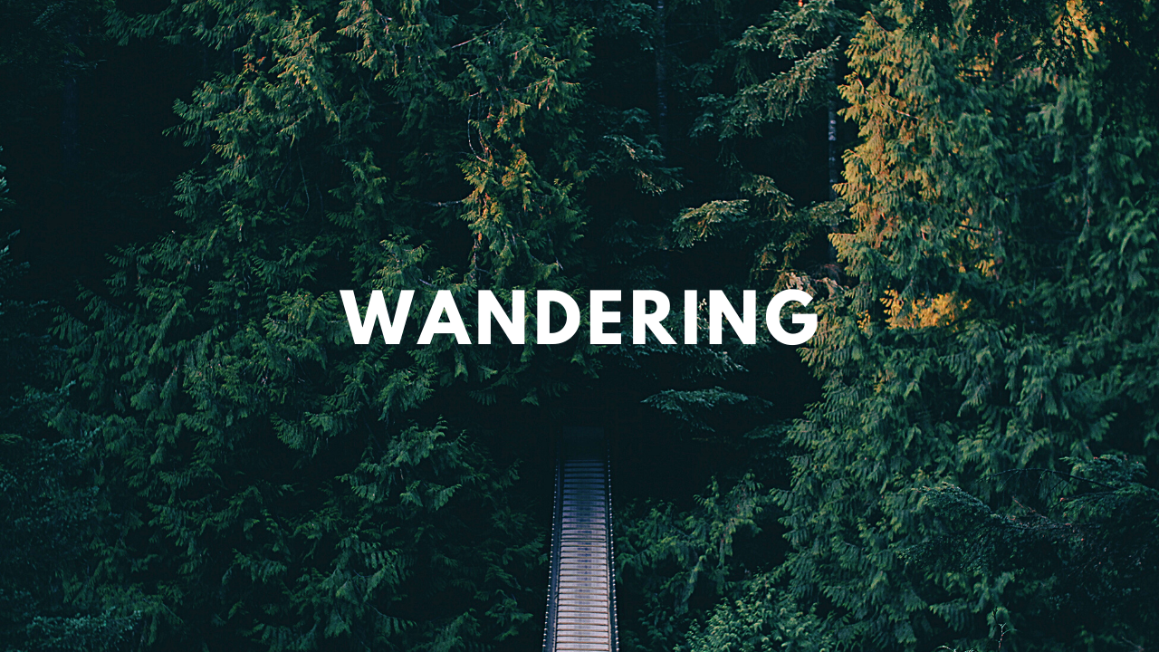 Wandering