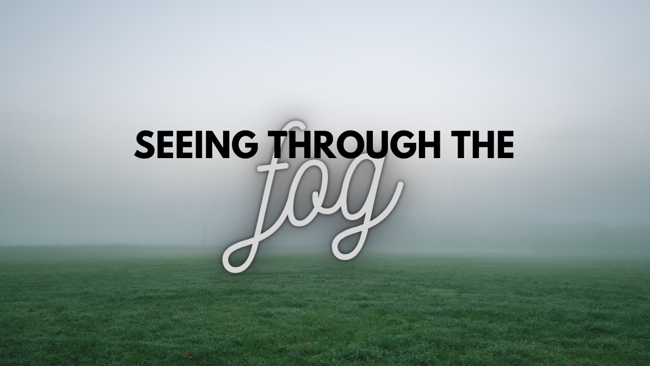 Seeing Through the Fog