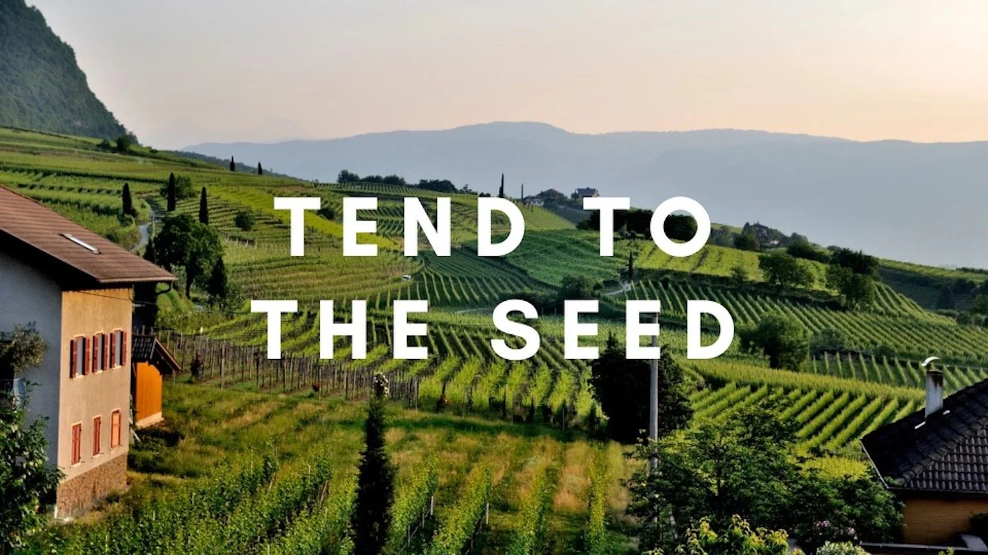Tend to the Seed