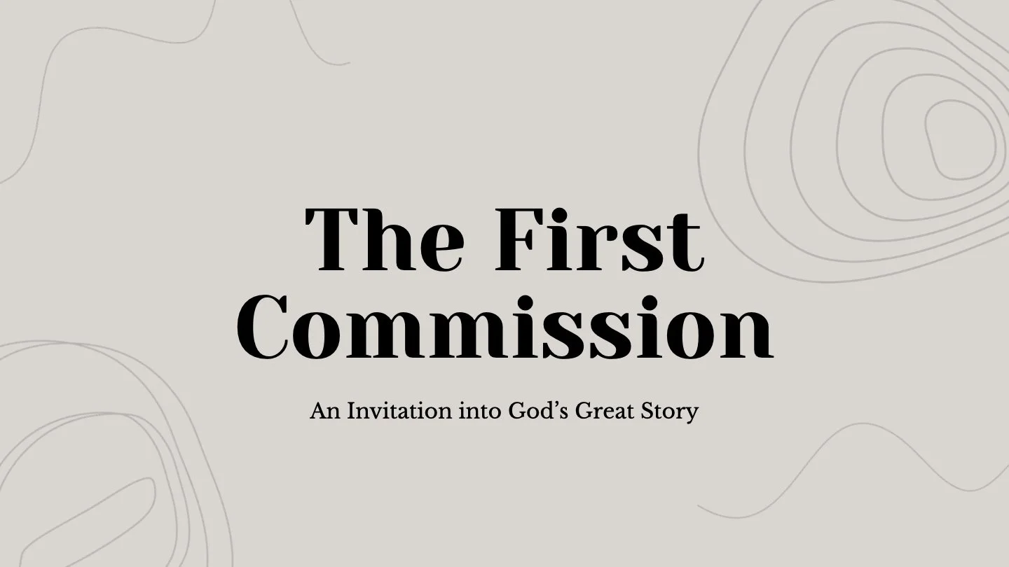 The First Commission