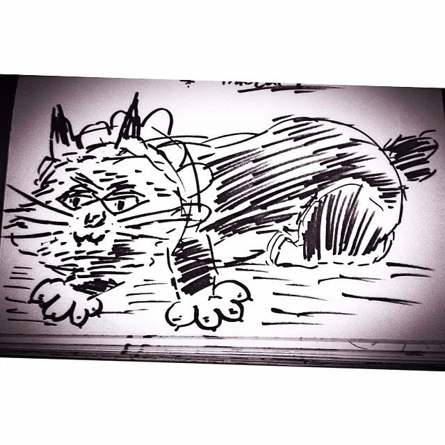 Cartoon Cat
