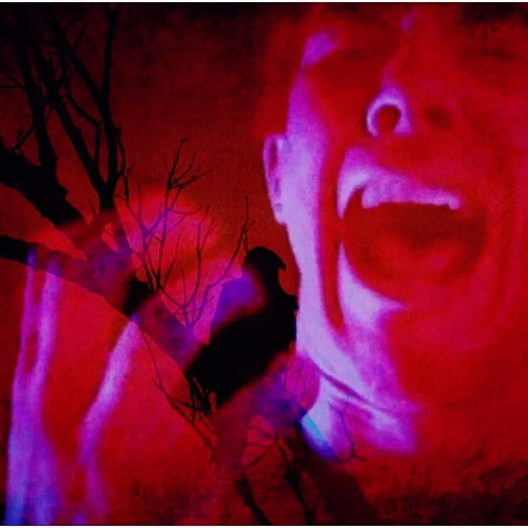 "Sky Full of Vultures" 