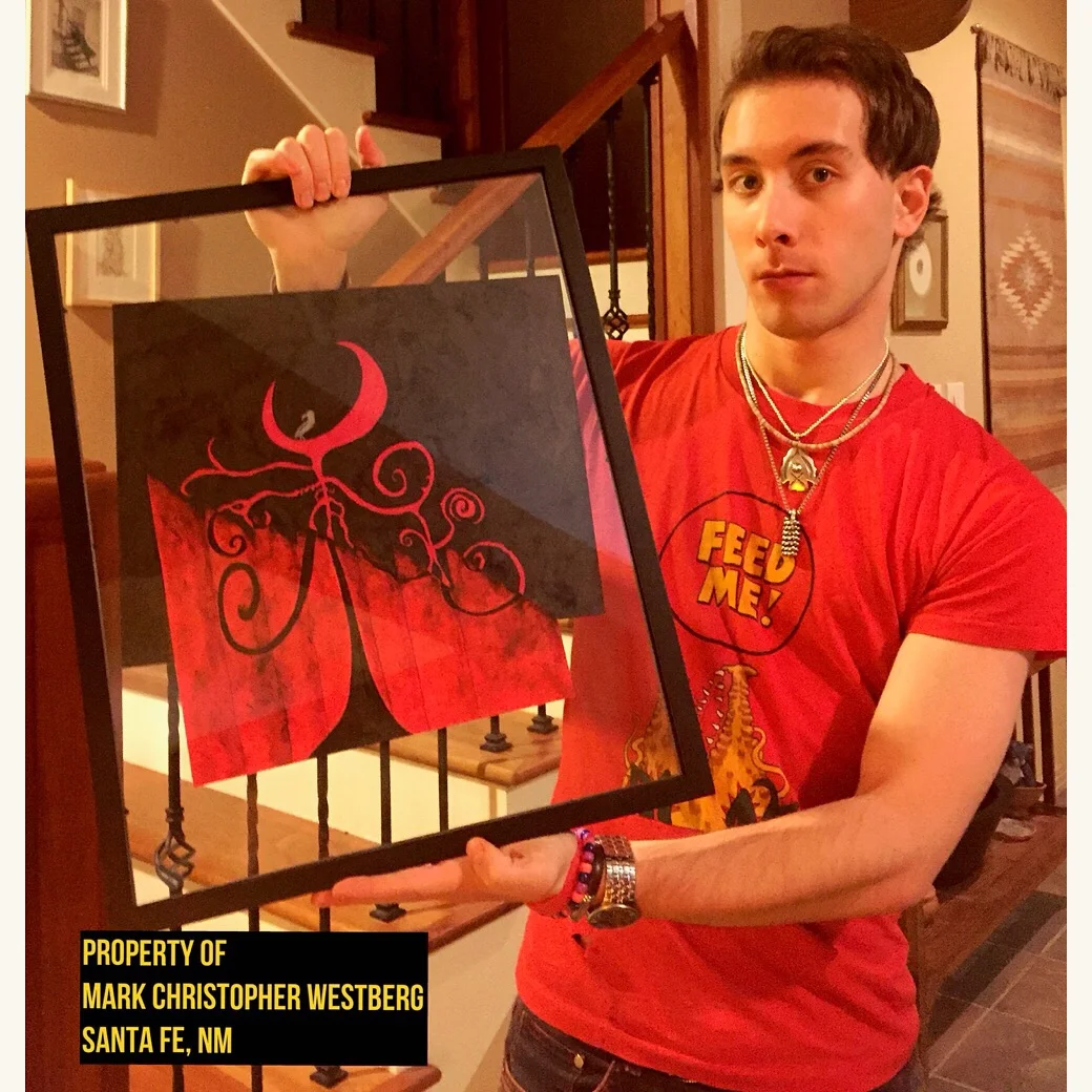 "Jemez Raven"-Floating Frame 