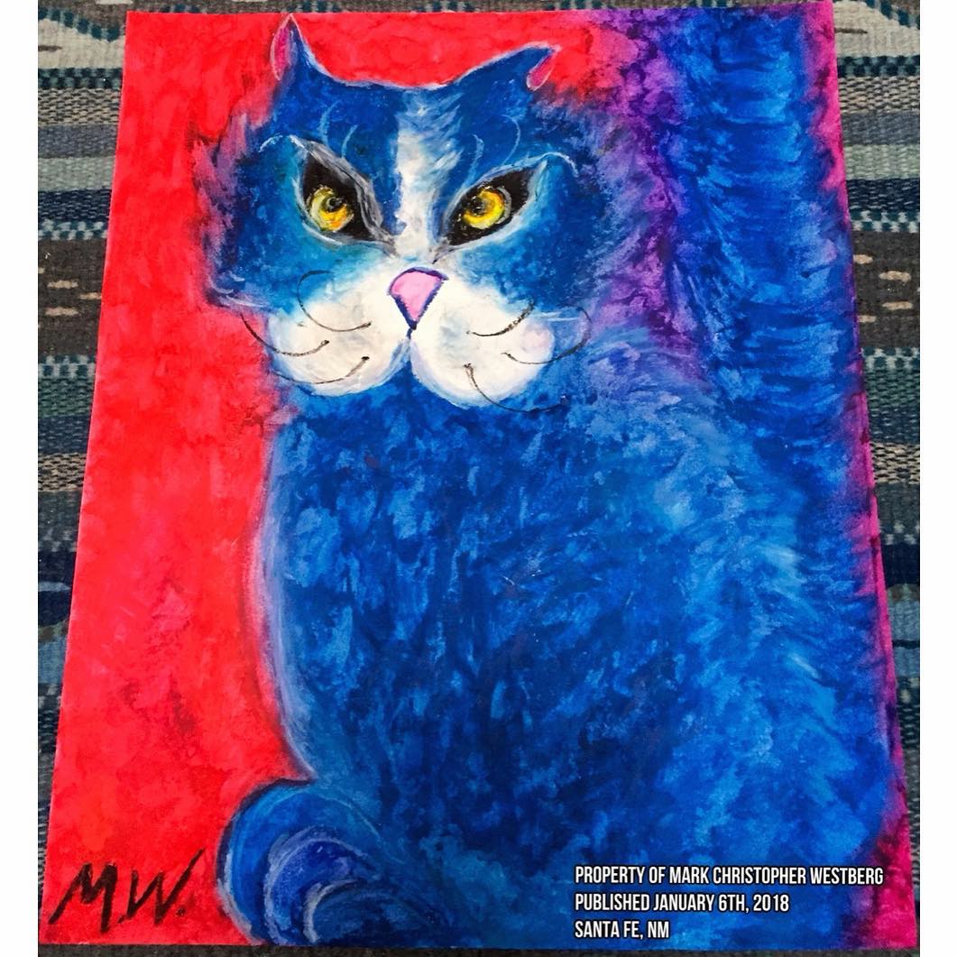 Dedicated to my Neighborhood Cat Named Zoe