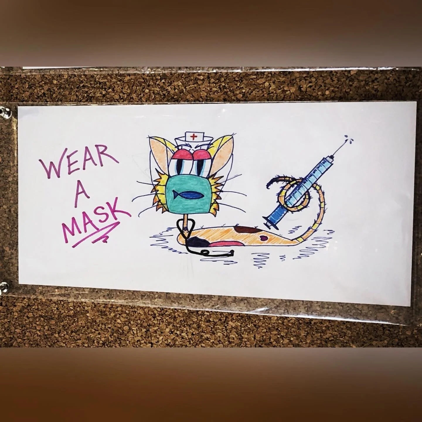 “Wear a Mask” cat illustration 2020