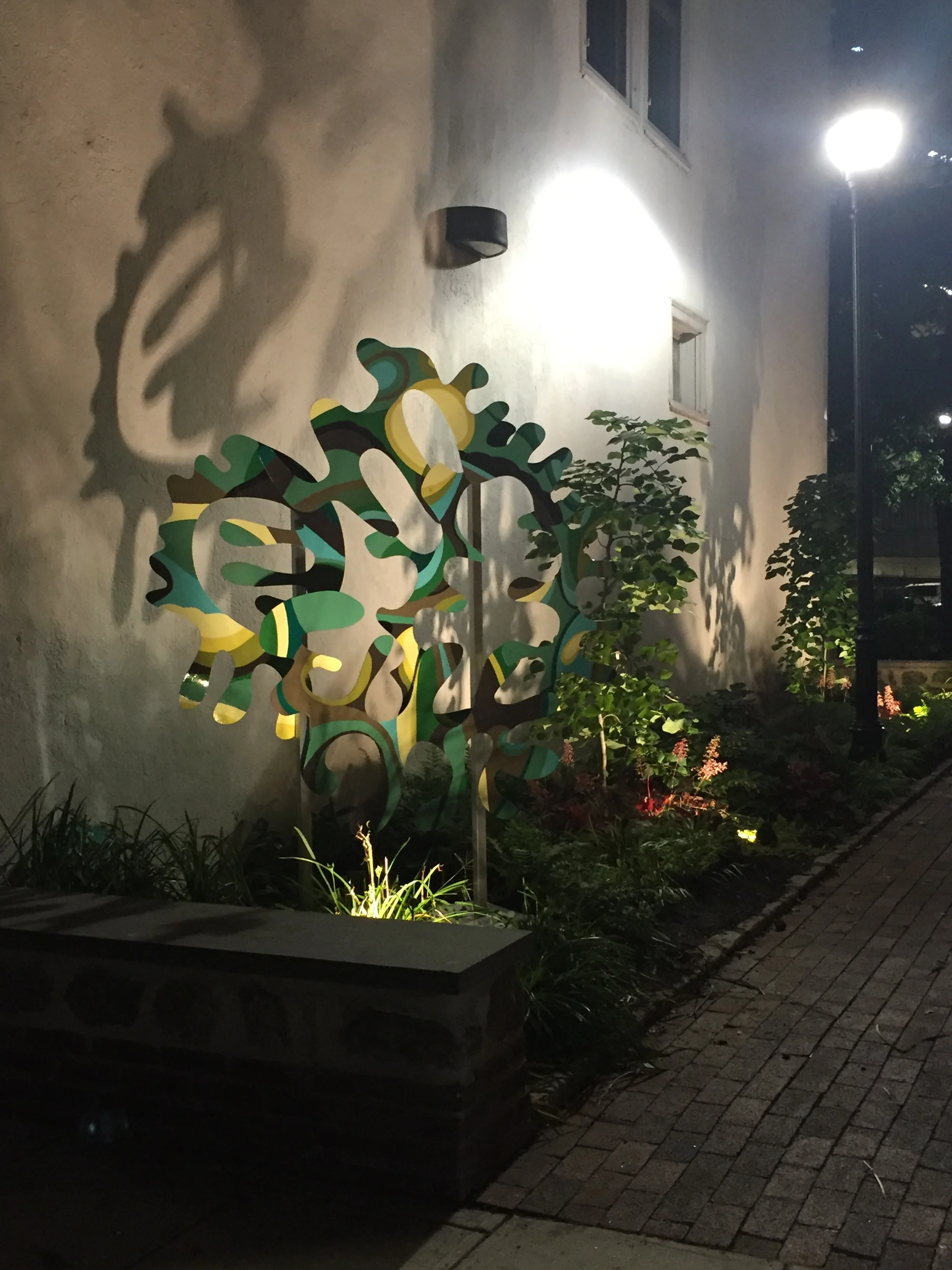 "There are holes in my perception of the rainforest"