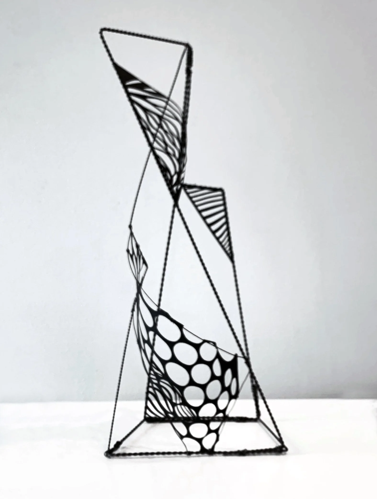 Paper and Wire Assemblage 1