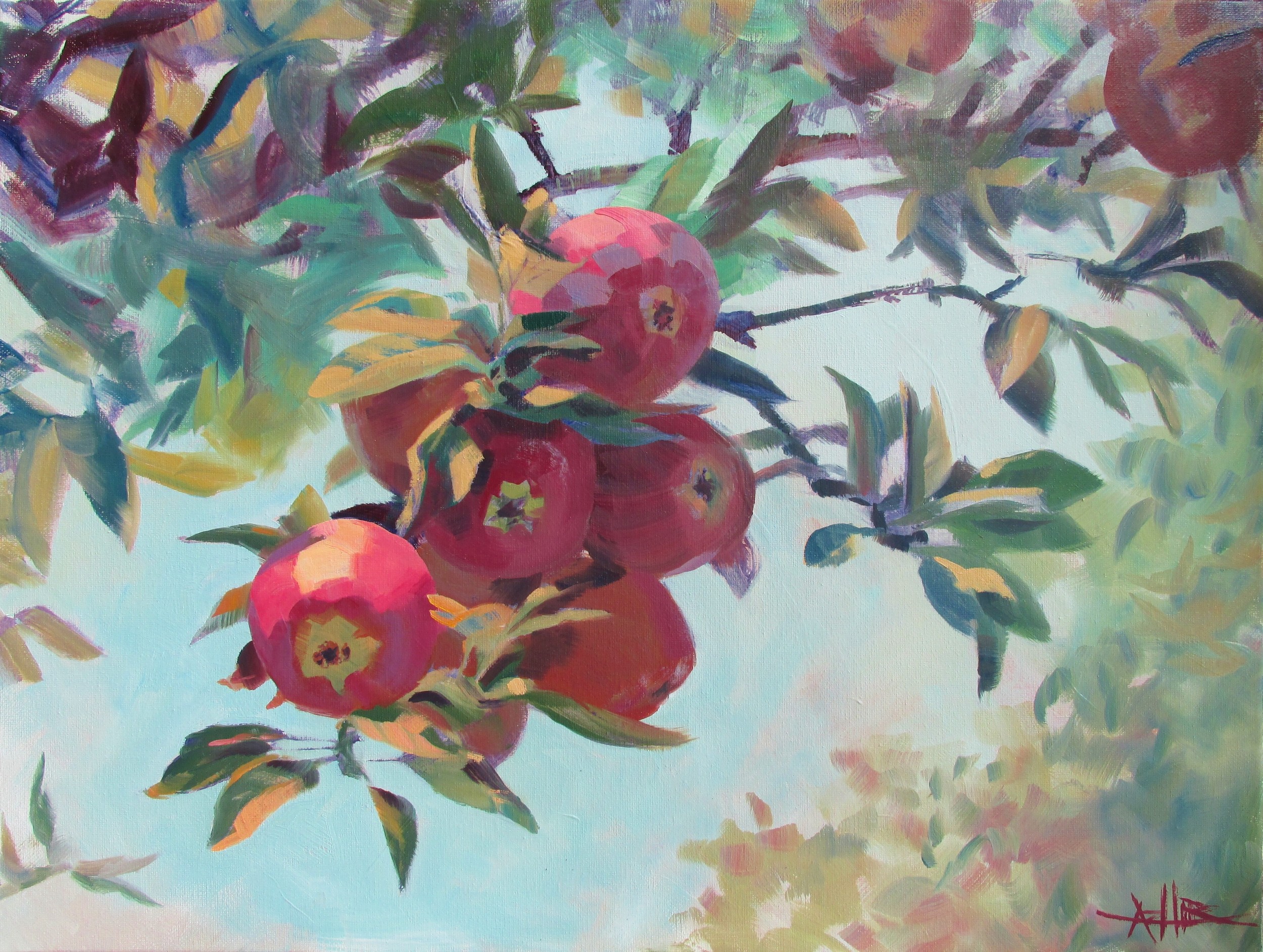 SOLD, Apples on the Tree, Copyright 2015 Hirschten, Oil on Canvas, 18" x 24"