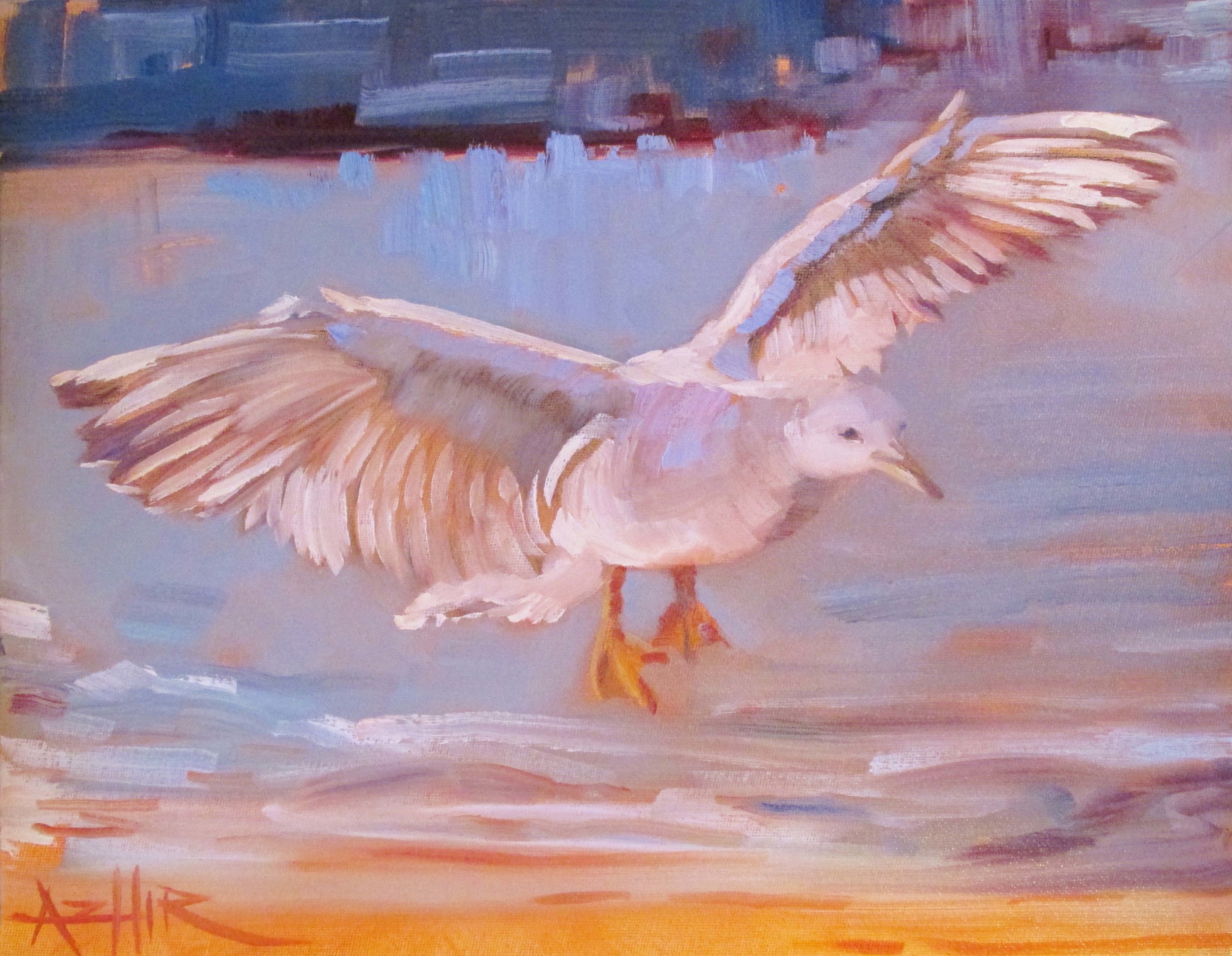 SOLD, Seagull in the Air, Copyright 2016 Hirschten, Oil on Canvas, 11" x 14"