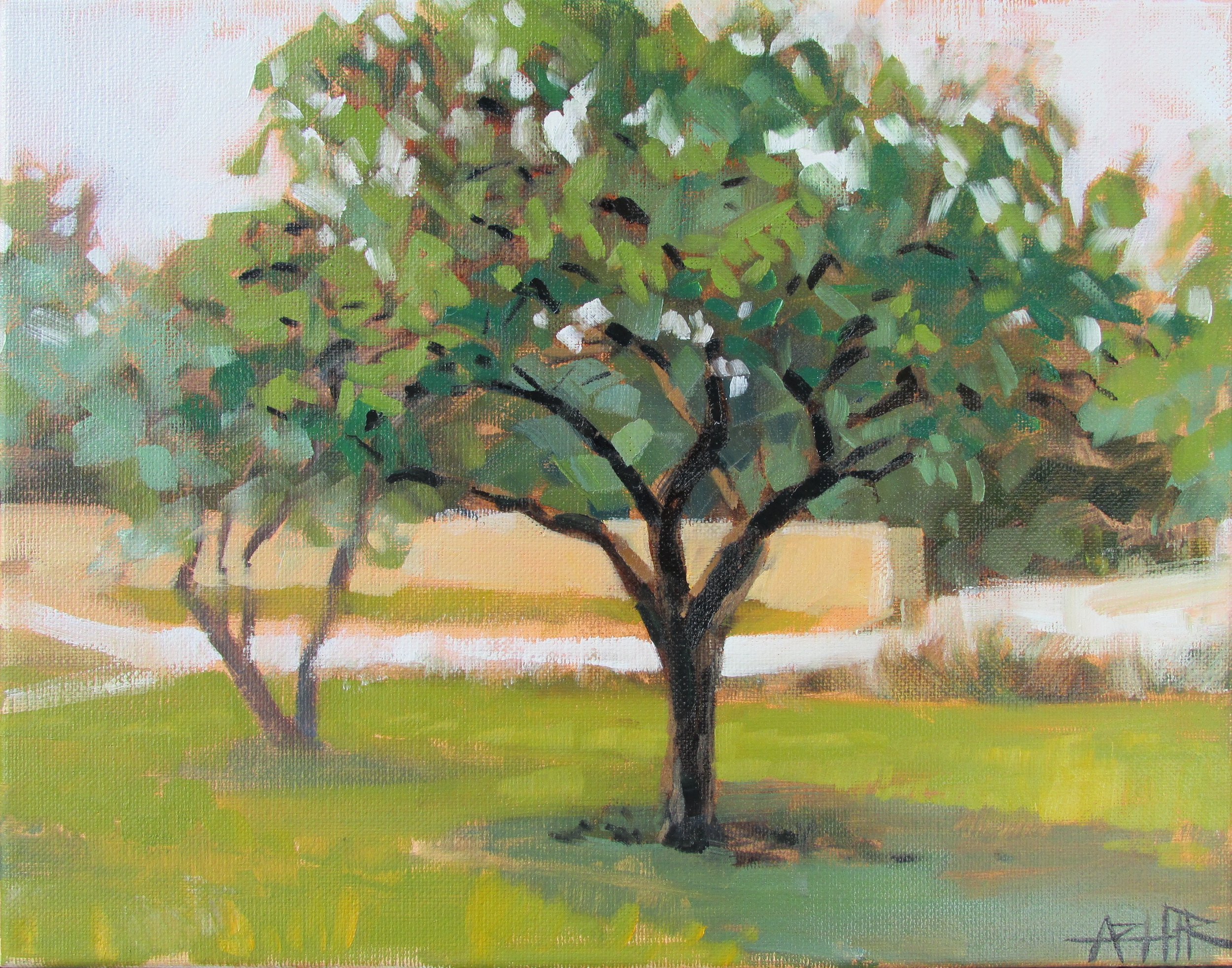 SOLD, Tree at the Art Center, Copyright 2016, Oil on Canvas, 11" x 14"