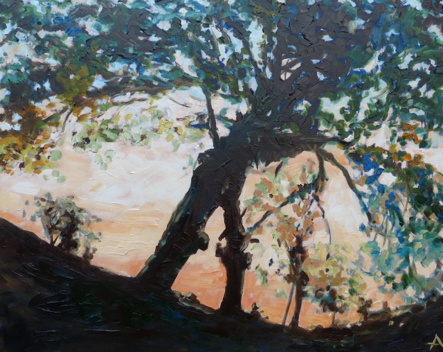 SOLD, Tree on a Summer Evening, Copyright 2017, Oil on Canvas, 16" x 20"