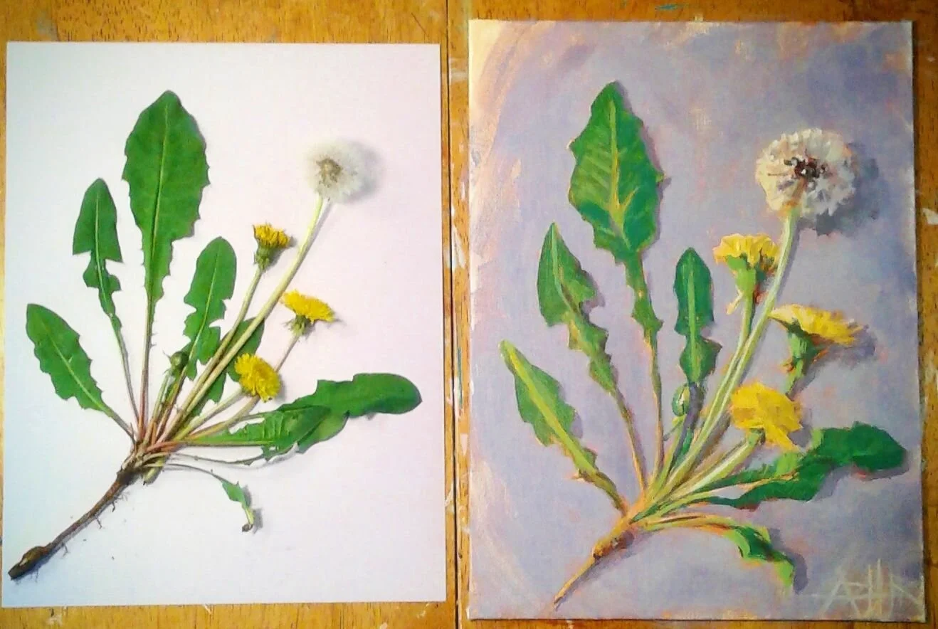 SOLD, Dandelion's Are Beautiful!, Acrylic on Canvas, Copyright 2019 Hirschten