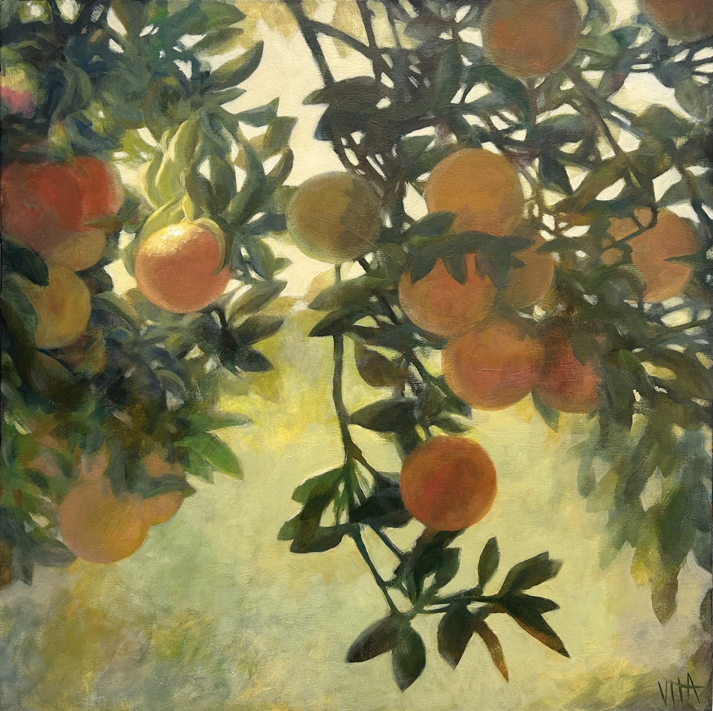 SOLD, Oranges in Florida, Acrylic on Canvas, Copyright 2025 Hirschten